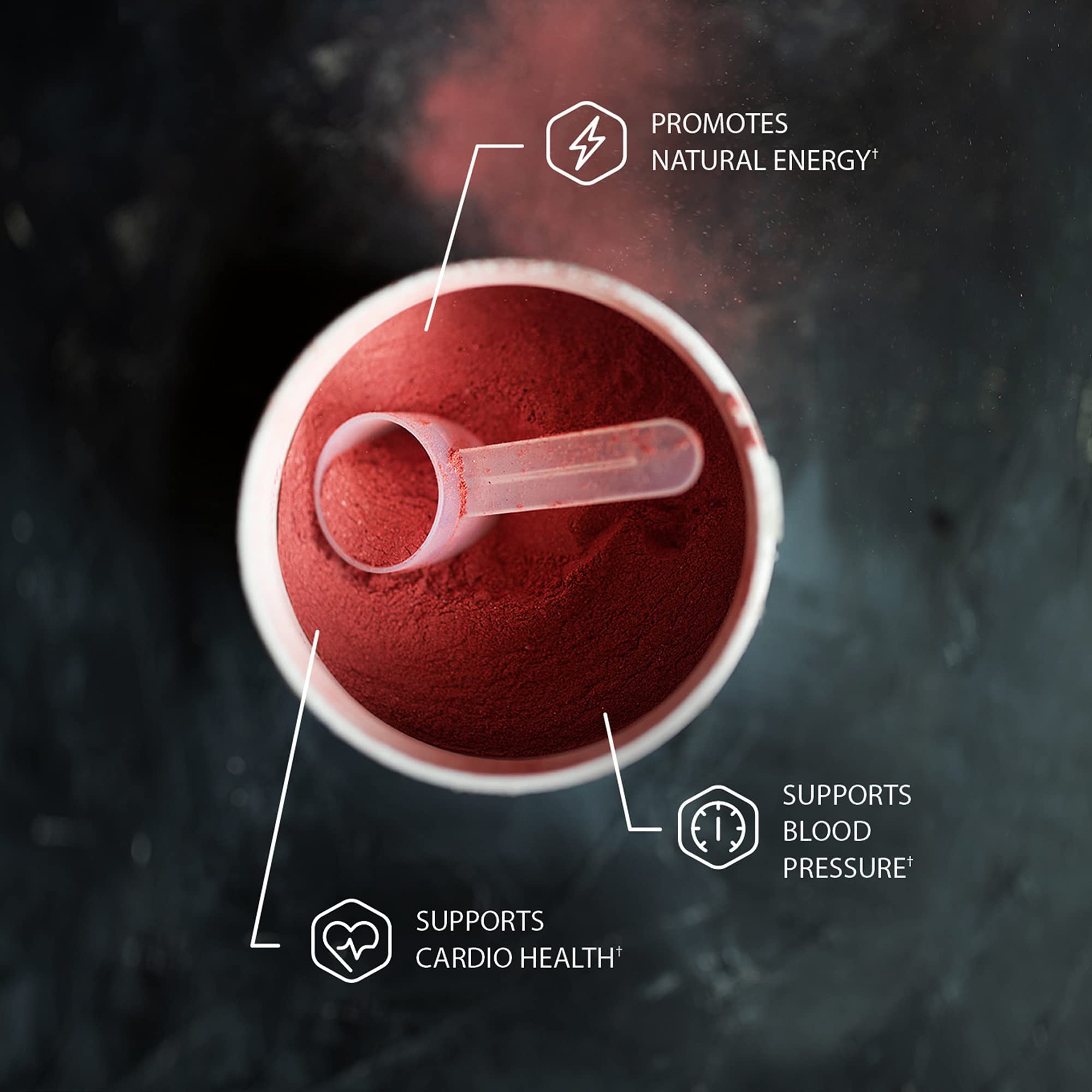 Snap Supplements Nitric Oxide Booster and Beet Powder Snap Supplements buy supplements canada