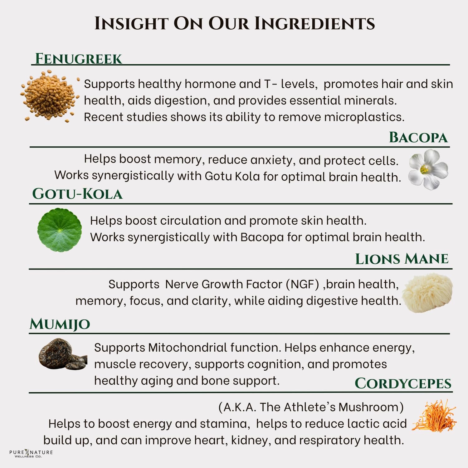 Focus + Energy + Performance Support-6-in-1 Mushroom Nootropic & Mitochondrial Complex-Advanced Brain Supplement-Natural Energy-Caffeine Free Biohack with Lion’s Mane,Cordyceps,Mumijo,Fenugreek Pure Nature Wellness Co. buy supplements canada