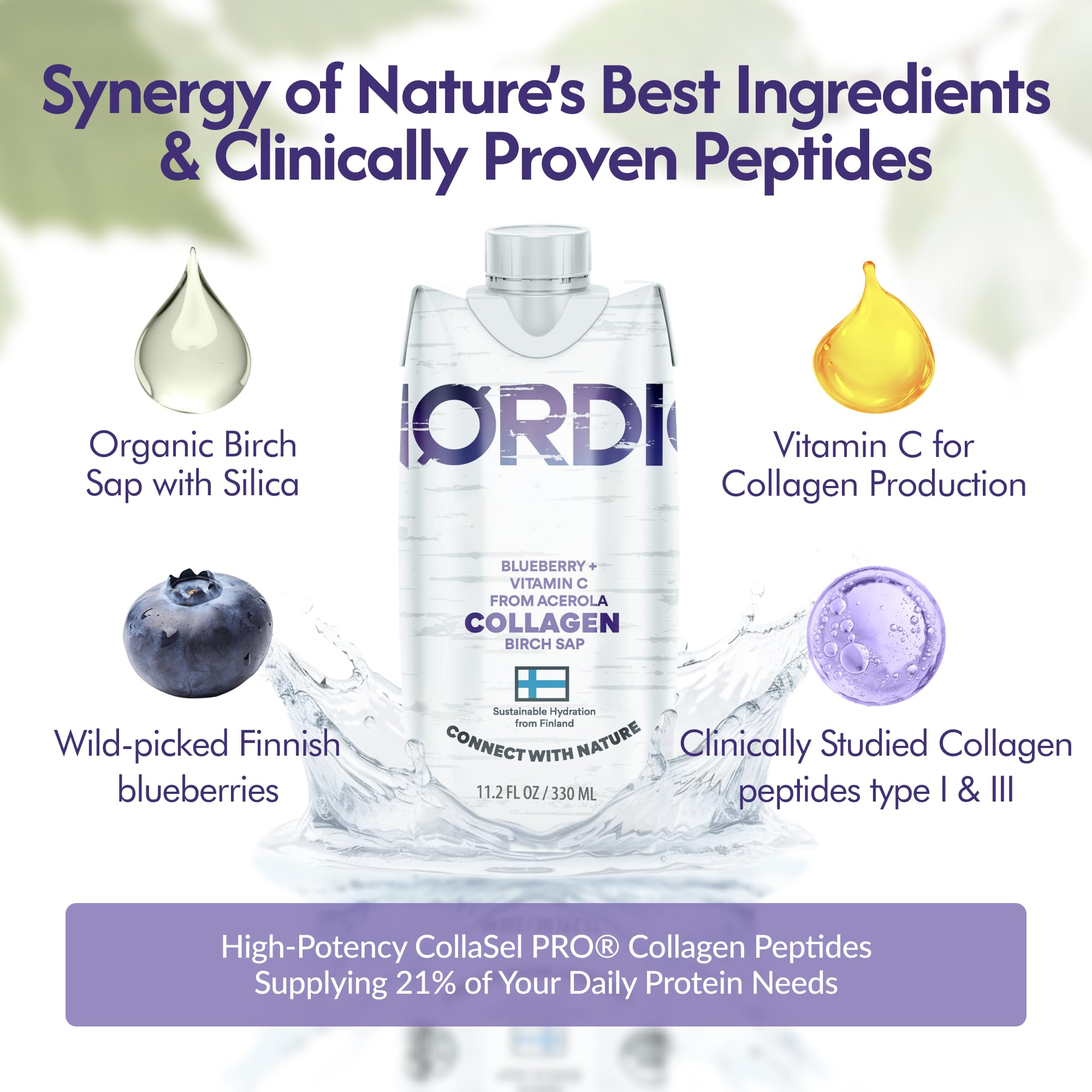 Nordic Liquid Collagen Peptide Drink, Organic Birch Sap, Wild blueberry + Vitamin C, Made in Finland - 10g Clinically Studied Grass Fed Collagen Peptides for Skin Hair Nails & Joint Support, with Silica, BPA-Free Beverage (12 Pack) Nordic Tree Water buy supplements canada
