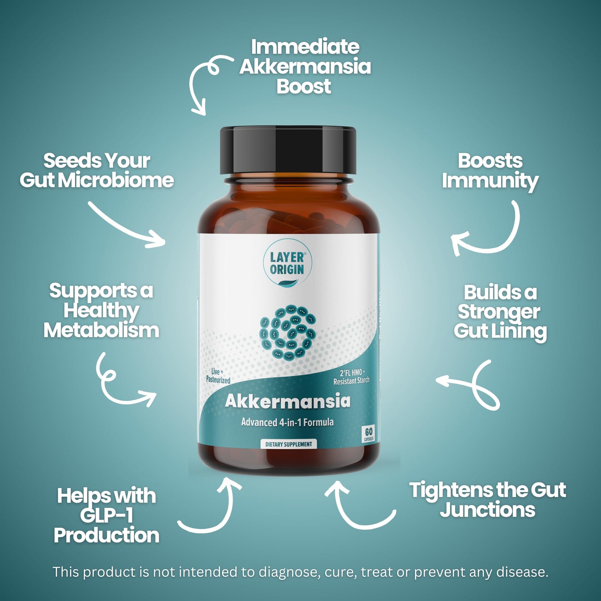 Layer Origin Akkermansia muciniphila Probiotic, with Both Live + Pasteurized Akkermansia and PureHMO Prebiotic, Validated Strain, Updated 4-in-1 Formula Layer Origin buy supplements canada