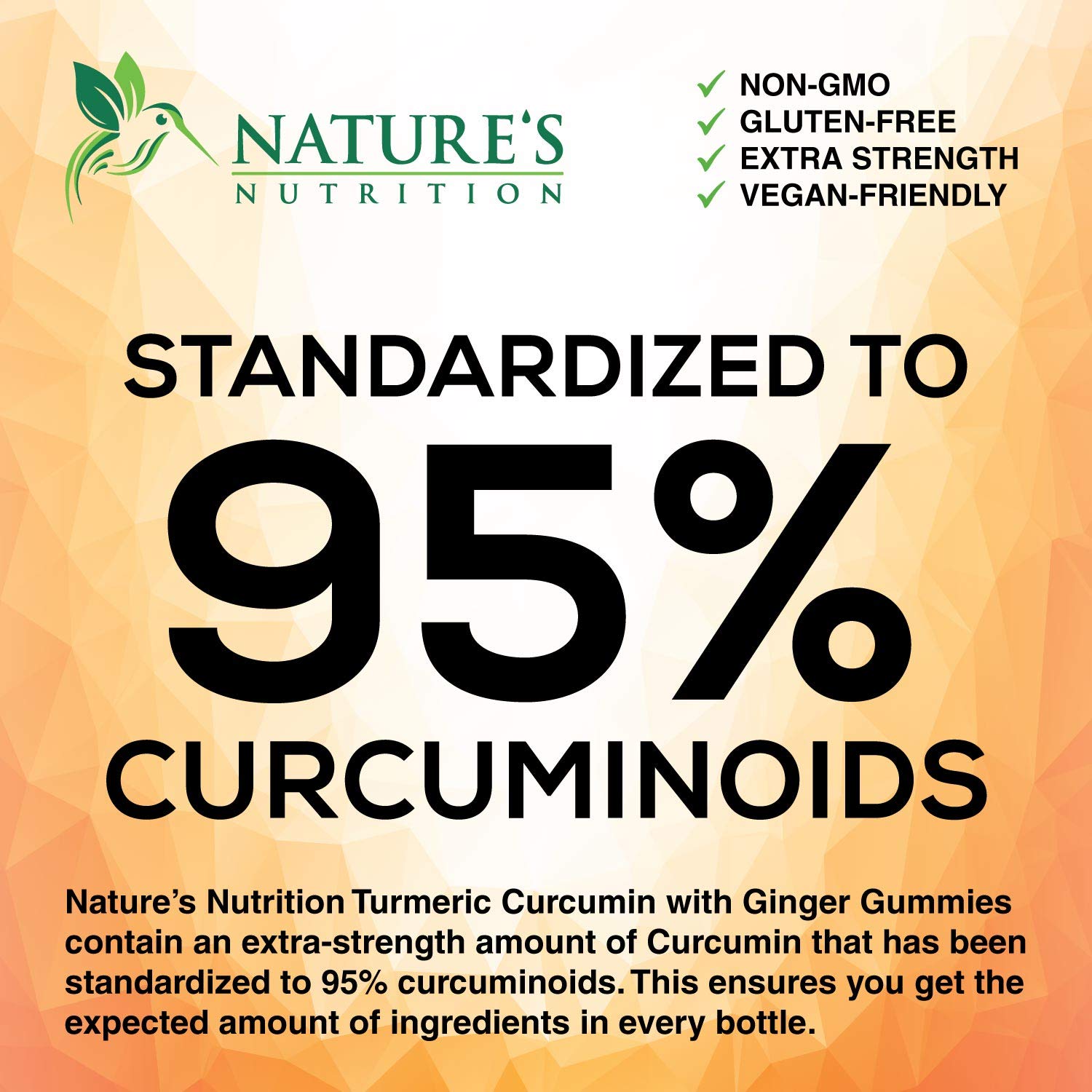 Turmeric Ginger Gummies - Vegan Turmeric Curcumin Gummy with 95% Curcuminoids Nature's Nutrition buy supplements canada