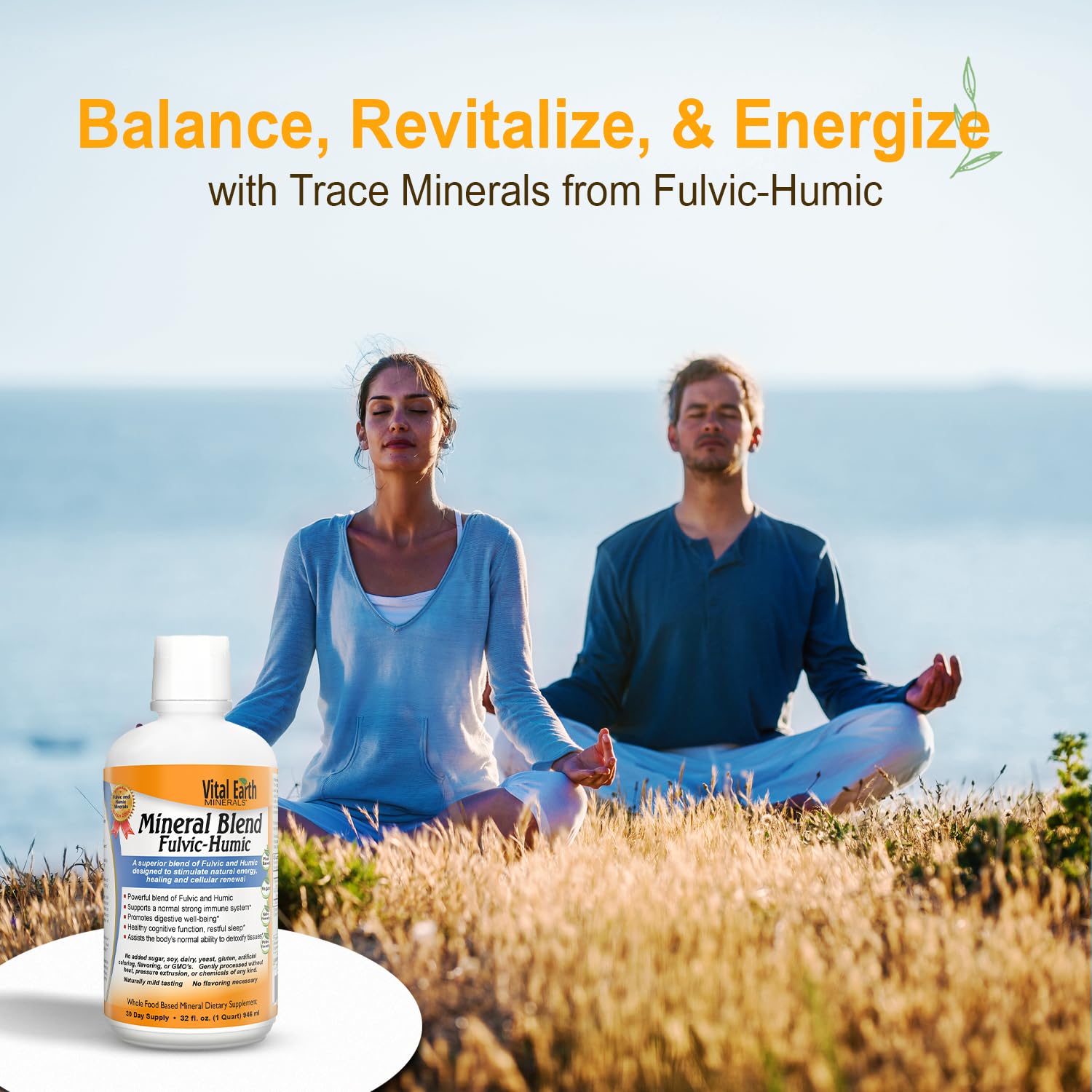 Vital Earth Minerals Detox and Wellness Support – Fulvic Humic Mineral Blend with 70+ Trace Minerals + Super Multi, Liquid Multivitamins, MTHFR Enhancement, 32 OZ Ea Vital Earth Minerals buy supplements canada