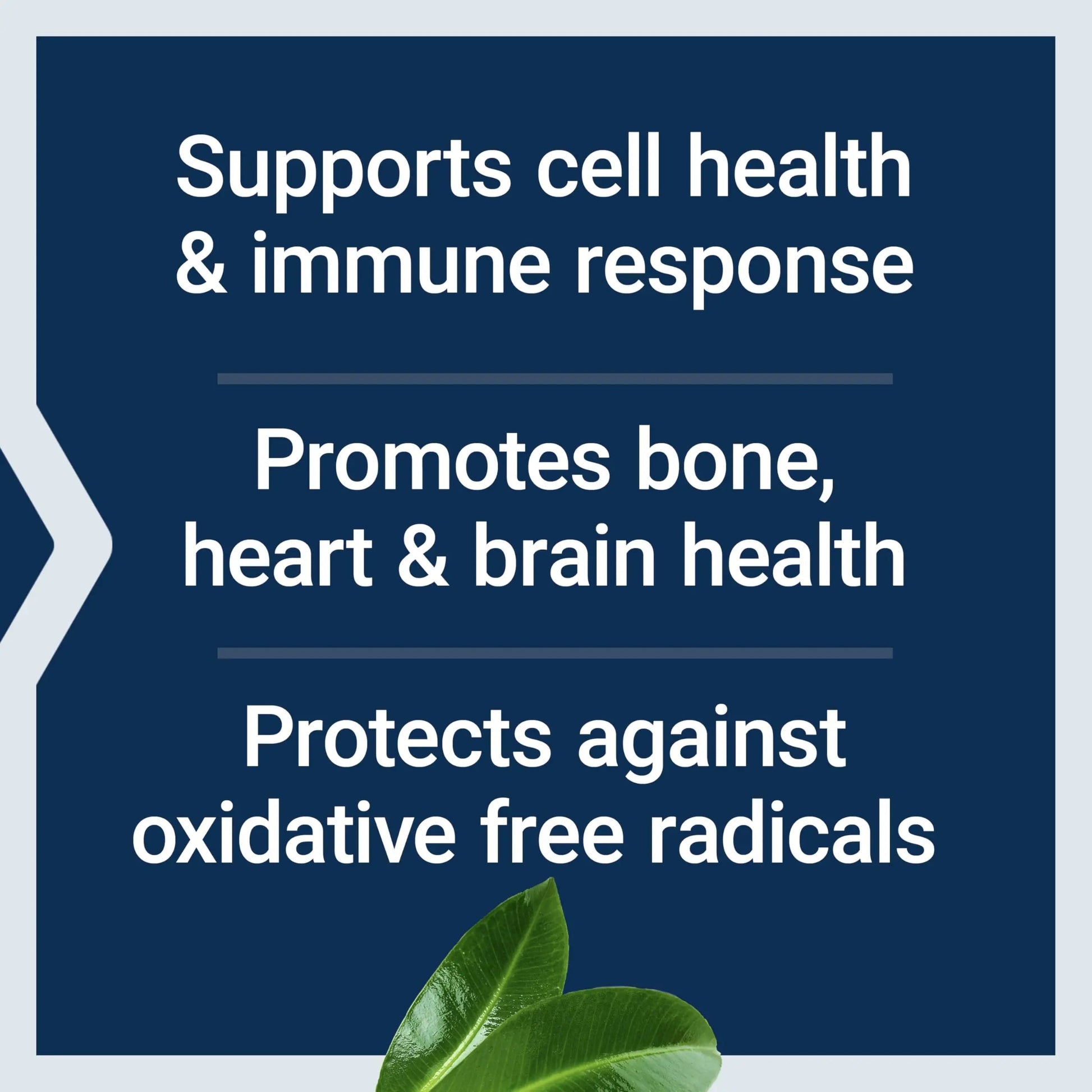 Life Extension Whole Food Multivitamin, Plant-derived Vitamin D3, A, B, C & E, Plus Minerals, Plant extracts, Stay Healthy from Head to Toe Life Extension buy supplements canada