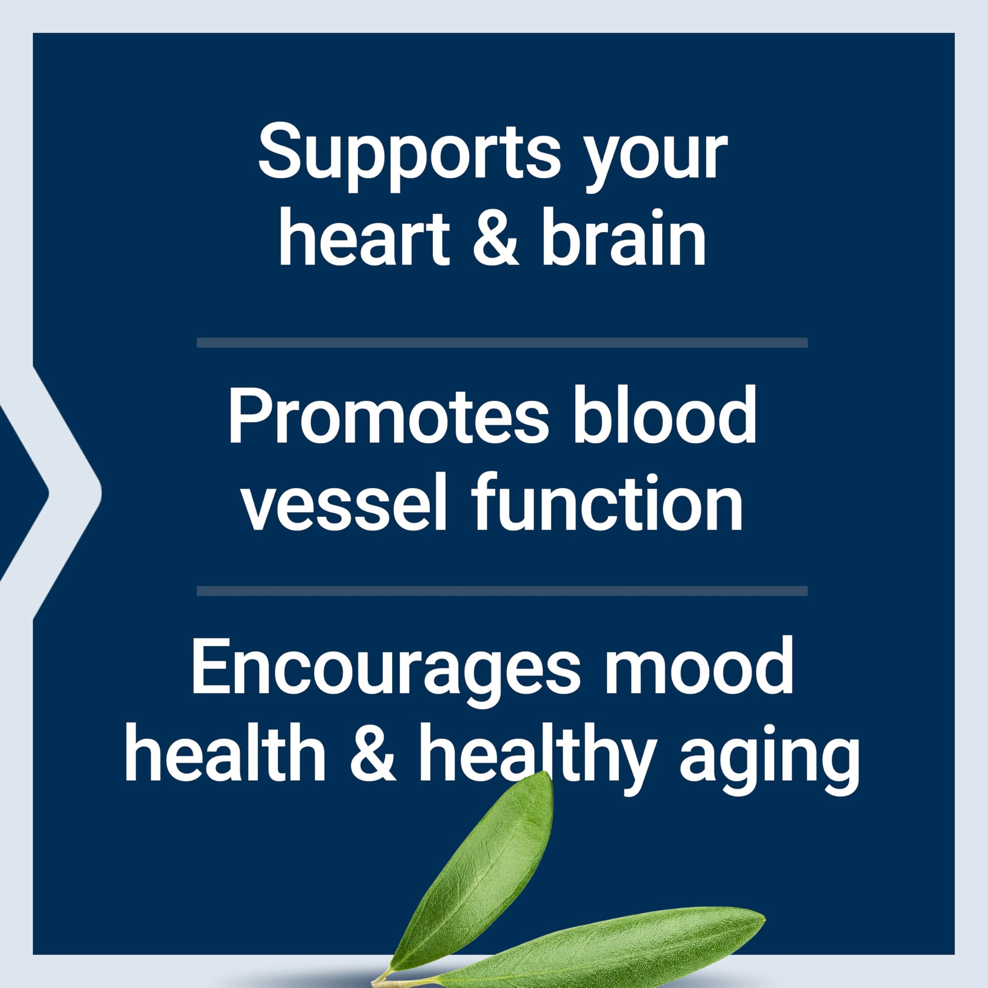 Life Extension Super Omega-3 EPA/DHA Fish Oil, Sesame Lignans & Olive Extract – Heart Health, Brain Health, Inflammation Health Support, Gluten-Free, Enteric-Coated, Non-GMO, 120 Softgels Life Extension buy supplements canada
