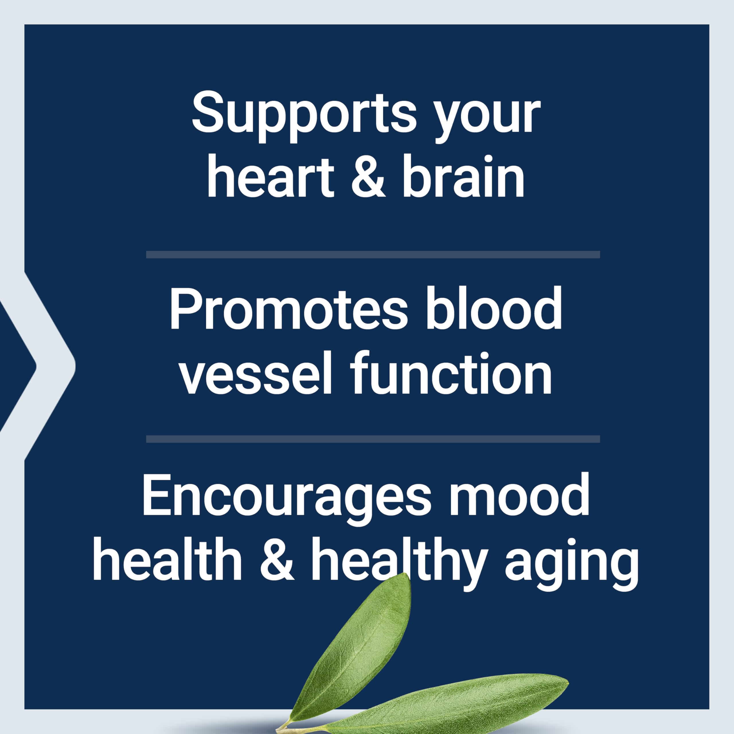 Life Extension Super Omega-3 EPA/DHA Fish Oil, Sesame Lignans & Olive Extract – Heart Health, Brain Health, Inflammation Health Support, Gluten-Free, Enteric-Coated, Non-GMO, 120 Softgels Life Extension buy supplements canada