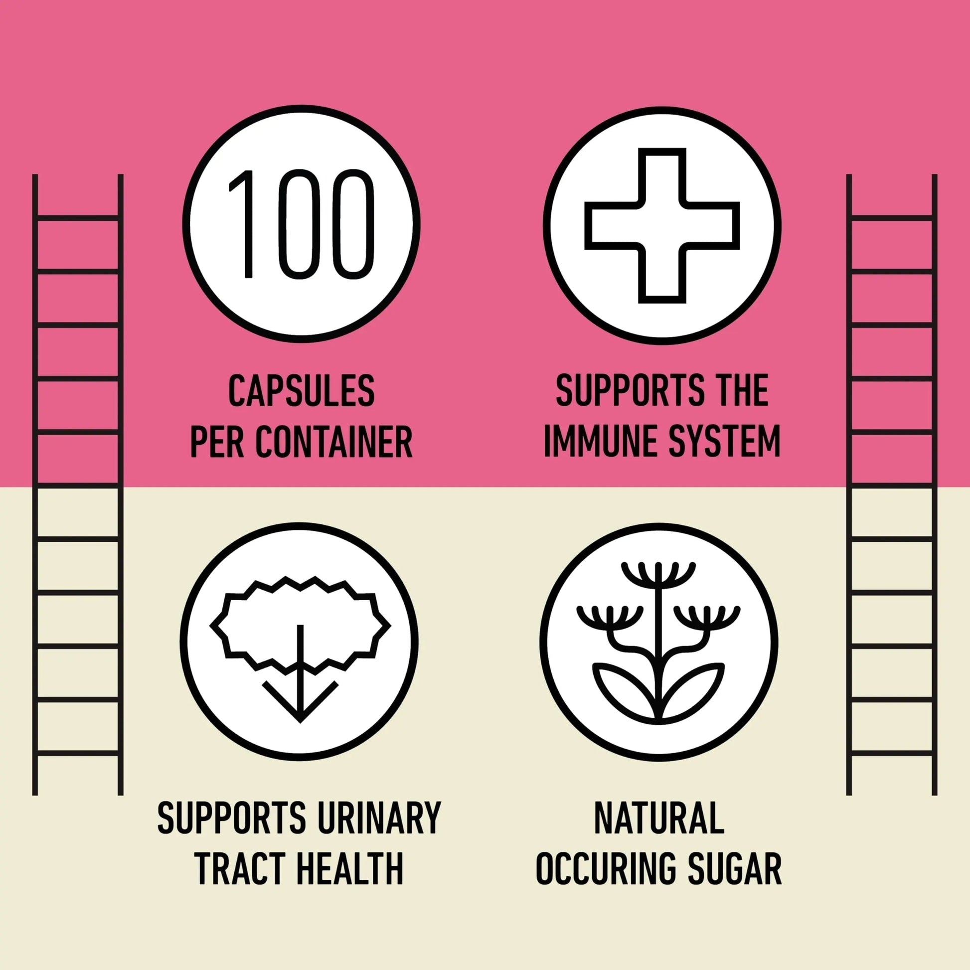 D Mannose 520mg Capsules - Organic D Mannose Supplement for UT Support, Urinary Tract Bladder Health Pills, Plant Based Formula, Vegan Non GMO, No Fillers, 500 Capsule Count Made USA Certified Kosher Complete Natural Products buy supplements canada