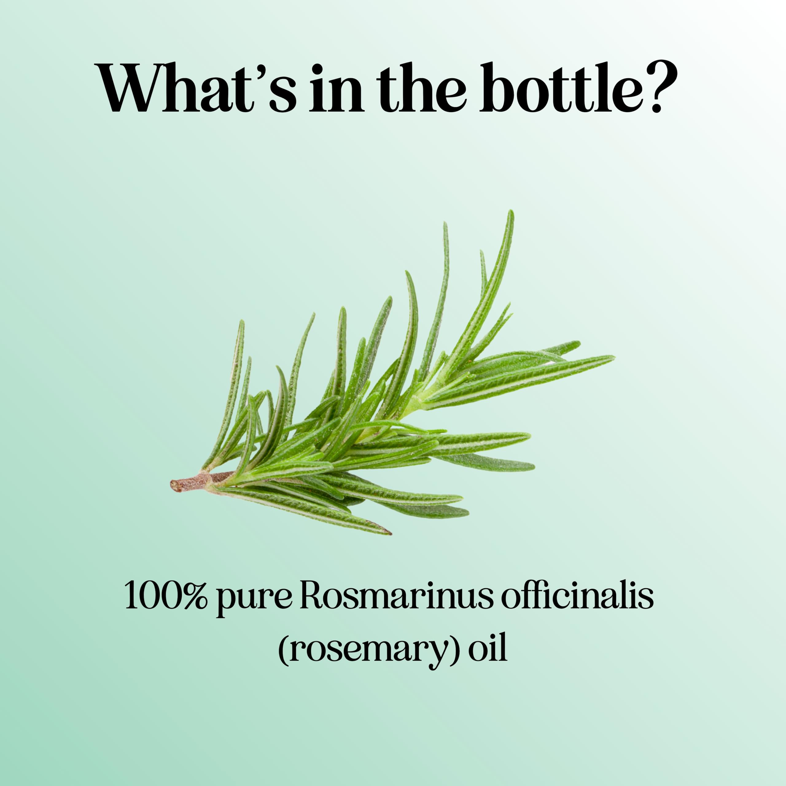Pure Rosemary Essential Oil for Aromatherapy - Pure Rosemary Oil for Hair Skin and Nails Maple Holistics buy supplements canada