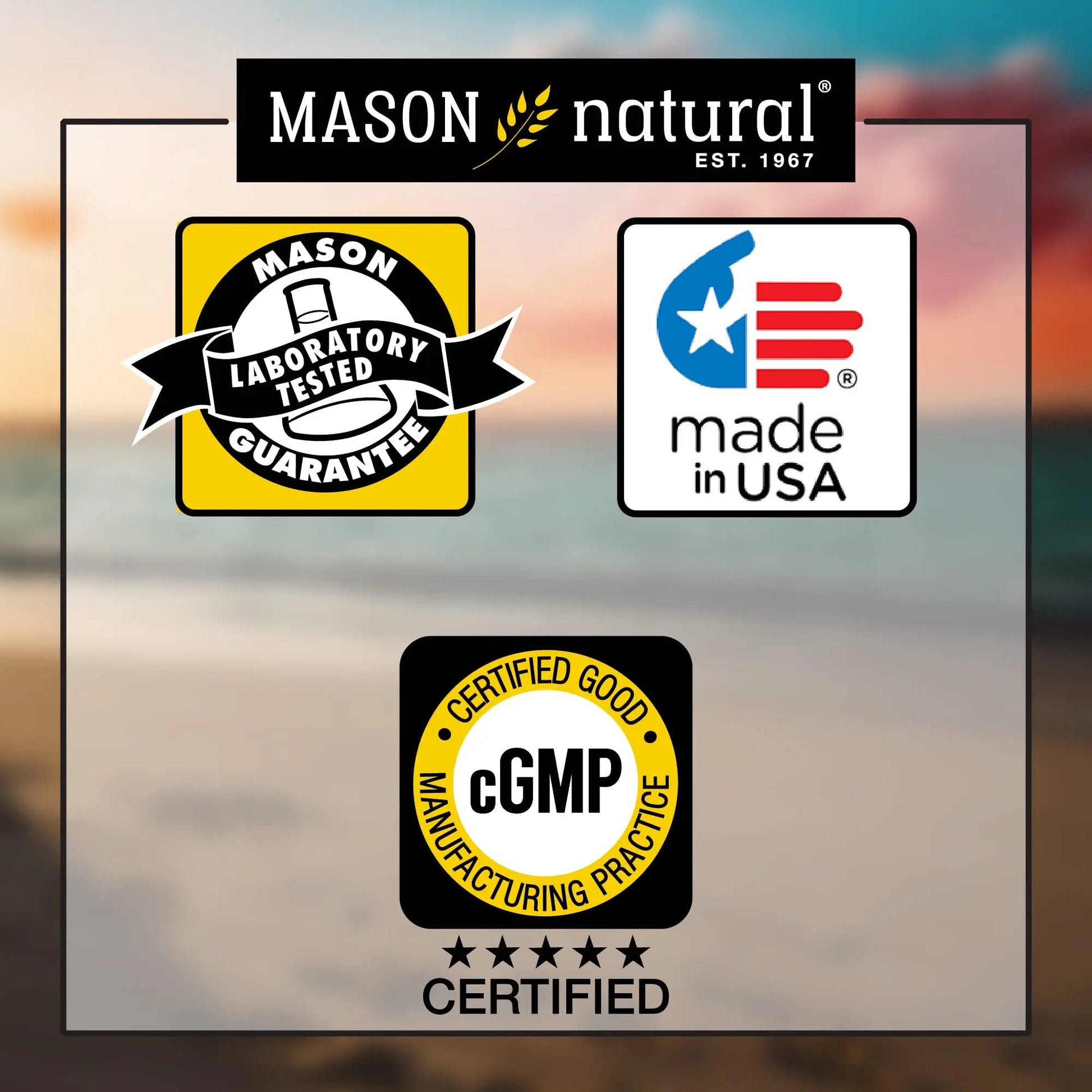 MASON NATURAL, Mens Daily Formula Equivalent to One a Day Mens Brand Tablets - 100 ea MASON NATURAL buy supplements canada