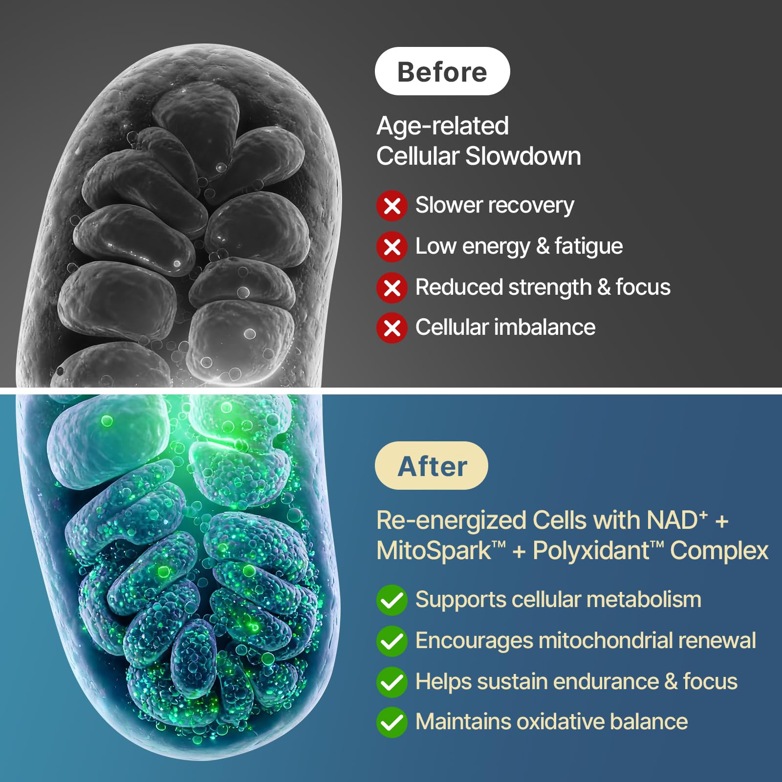 SYZY GENICS NAD+ Supplement 1600mg Extra Strength - Liposomal NMN Alternative with Resveratrol, Urolithin A, CoQ10, Quercetin & ALA - Mitochondrial Energy & Anti-Aging, Cell Regeneration, 60 Softgels SYZY GENICS buy supplements canada