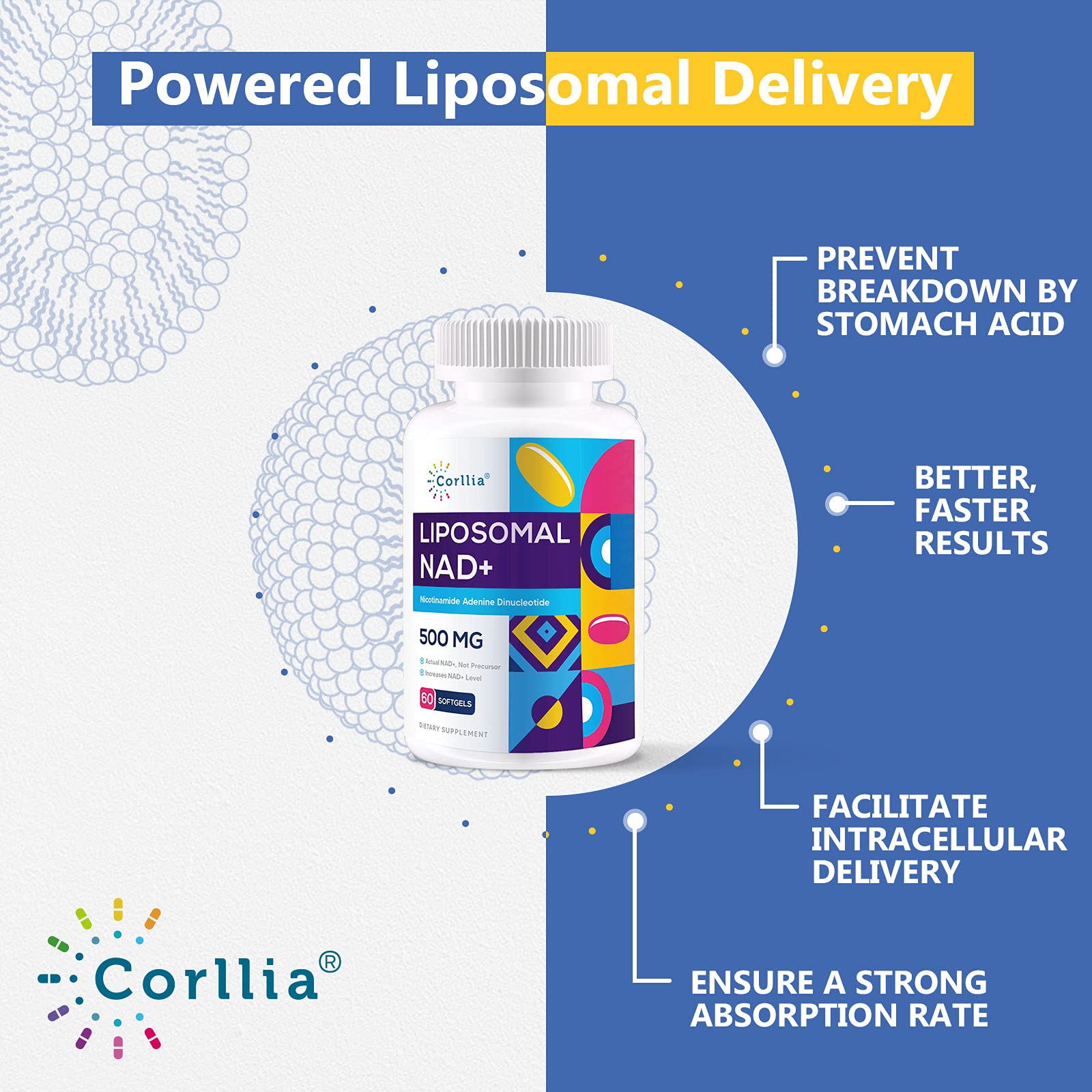 Liposomal NAD+ 500mg with TMG 250mg Softgels, Nicotinamide Riboside Alternative, Actual NAD+ Supplement, 120 Servings Corllia buy supplements canada