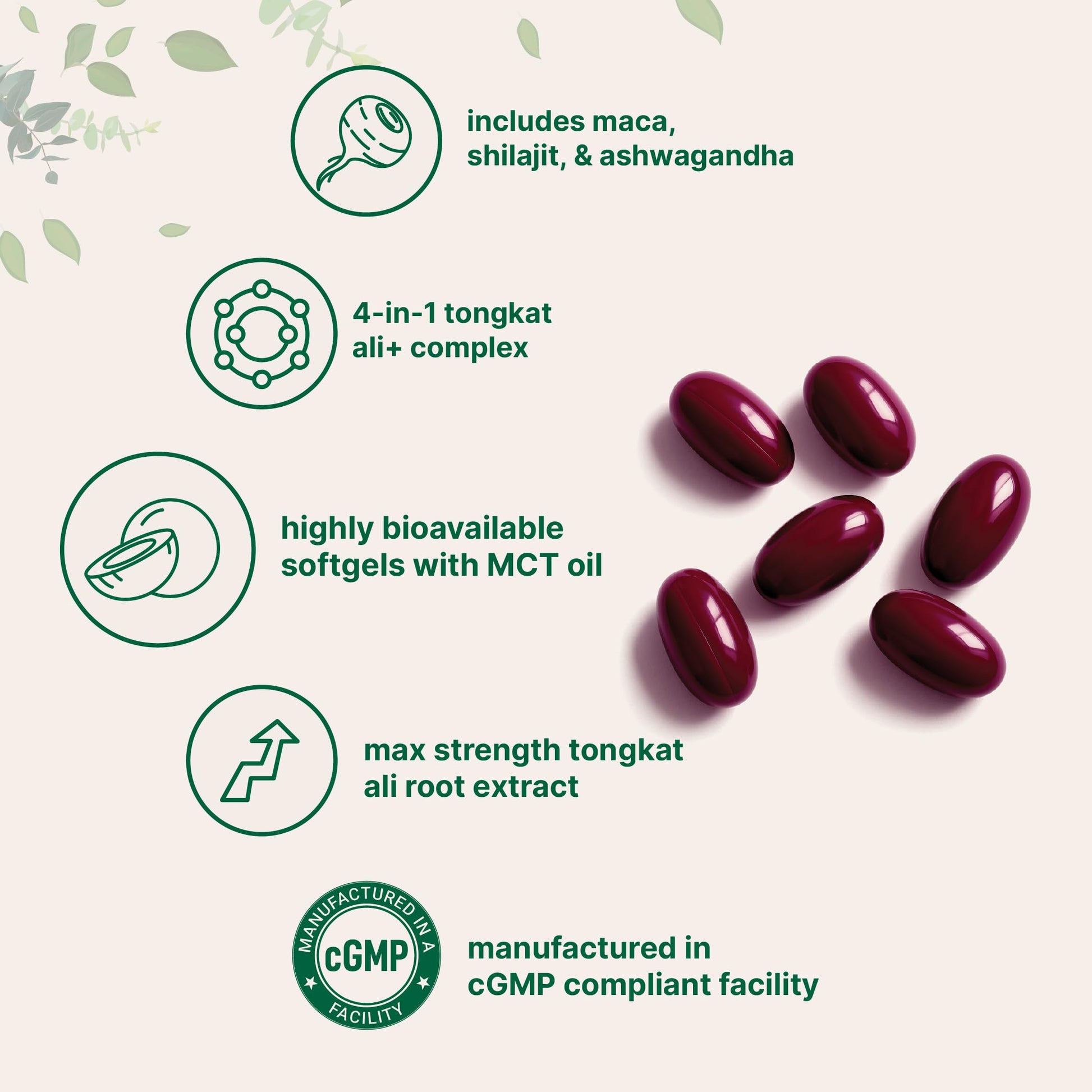 Tongkat Ali+ for Men with Maca, Shilajit, & Ashwagandha | 240 Softgels with MCT Oil for Better Absorption | Max Strength Eurycoma Longifolia Extract (Longjack) | Non-GMO, Gluten Free Micro Ingredients buy supplements canada