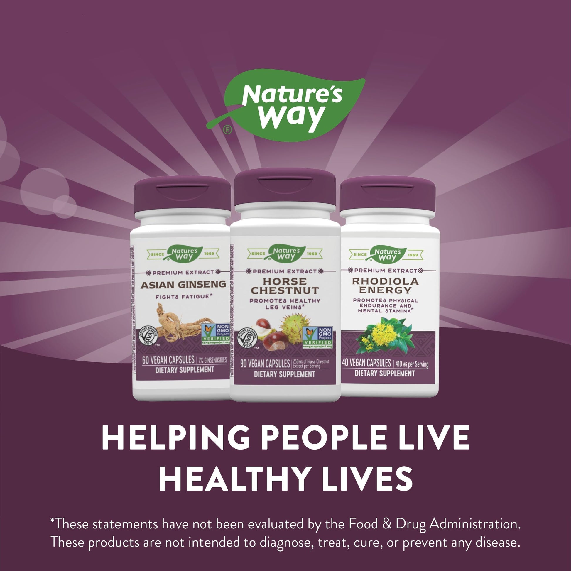 Nature's Way Standardized Horse Chestnut, Premium Extract for Healthy Veins and Blood Nature's Way buy supplements canada