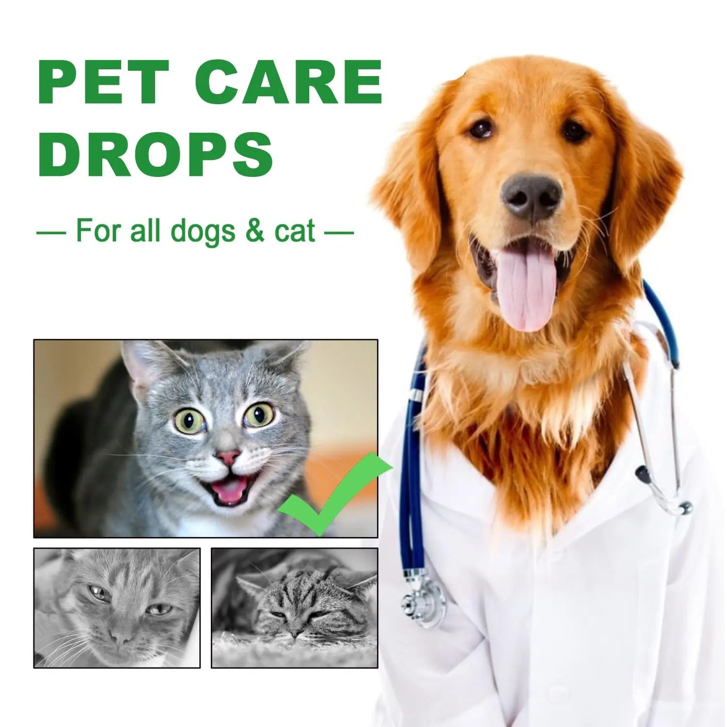 Urinary Tract for Cats, Cat & Dog Urinary Tract Drops Infection Remedy with Cranberry Dog Supplements, Cranberry Kidney Bladder Support Supplement - 60ml / 2 Fl.oz JoanofArc buy supplements canada