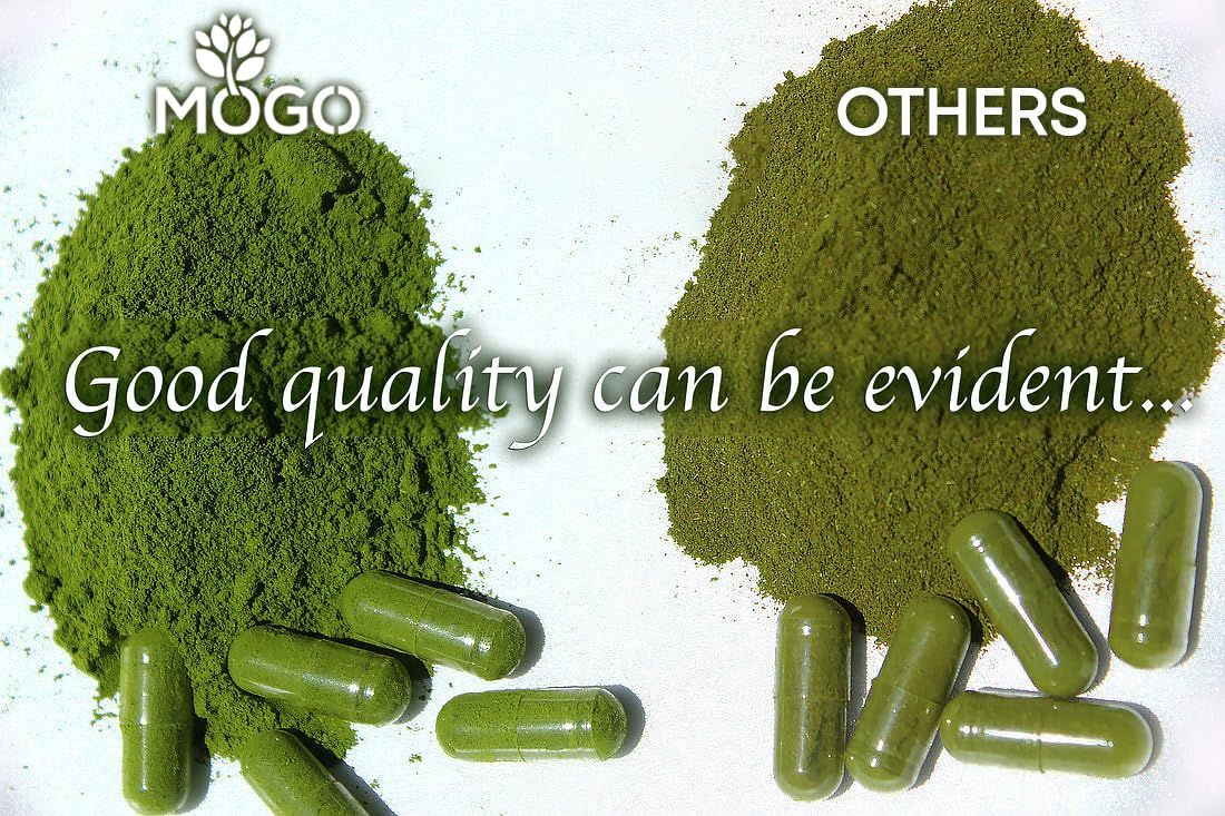 MOGO Moringa Capsules -180 Ct| Boost Energy, Immune, Gut, Joint Support | Made with Pure Organic Moringa Powder Organic Capsules | Made in USA MOGO buy supplements canada