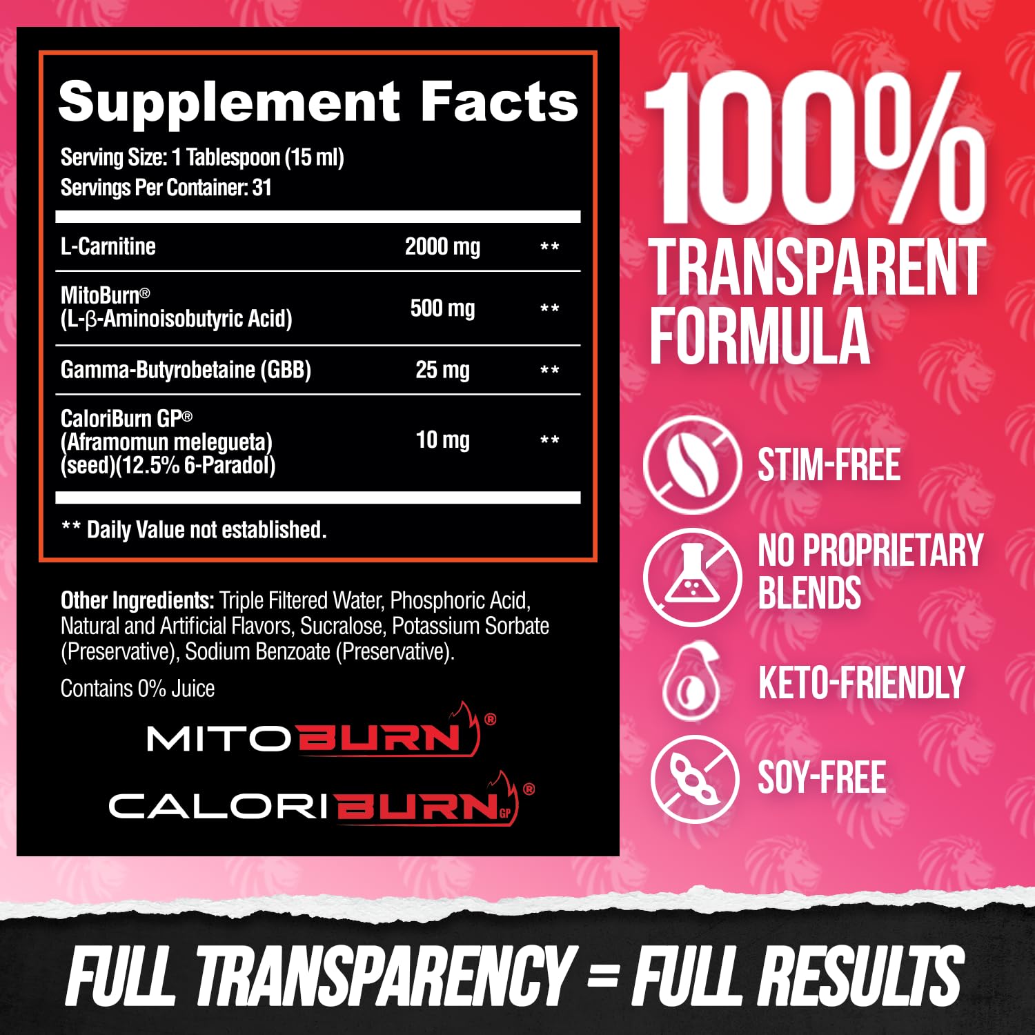 ALPHA LION Burn2O L-Carnitine Liquid 2000mg, Premium Liquid Fat Burner & Pre-Workout Supplement for Men & Women - Natural Energy & Metabolism Booster ALPHA LION buy supplements canada