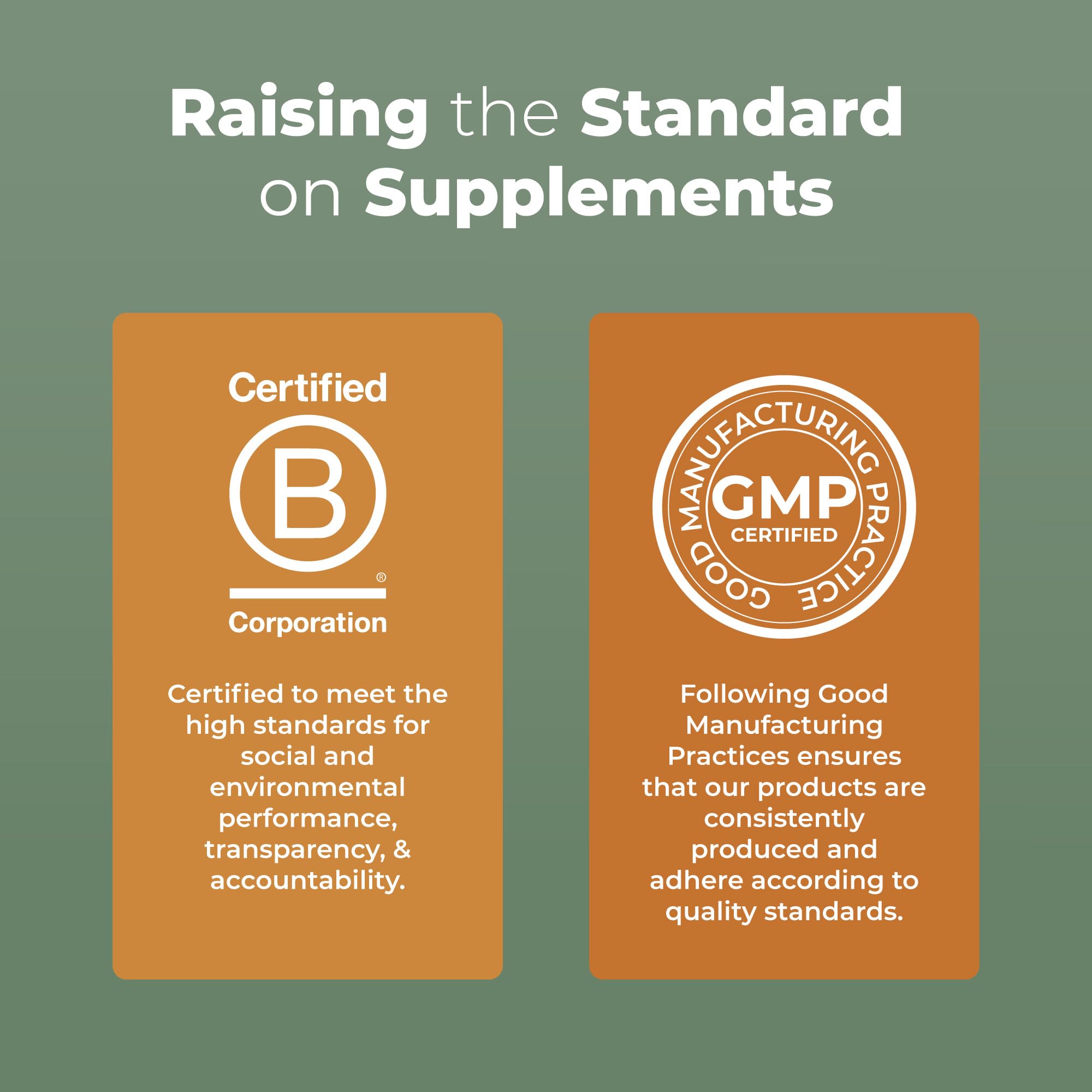 MaryRuth Organics Reishi Vegan Mushroom Supplement | Ultra Absorption Liposomal | Immune Support with 200mg Beta-Glucans, Vegan |Full Spectrum Reishi Mushrooms Fruiting Body | 7.6 oz, MARYRUTH'S buy supplements canada