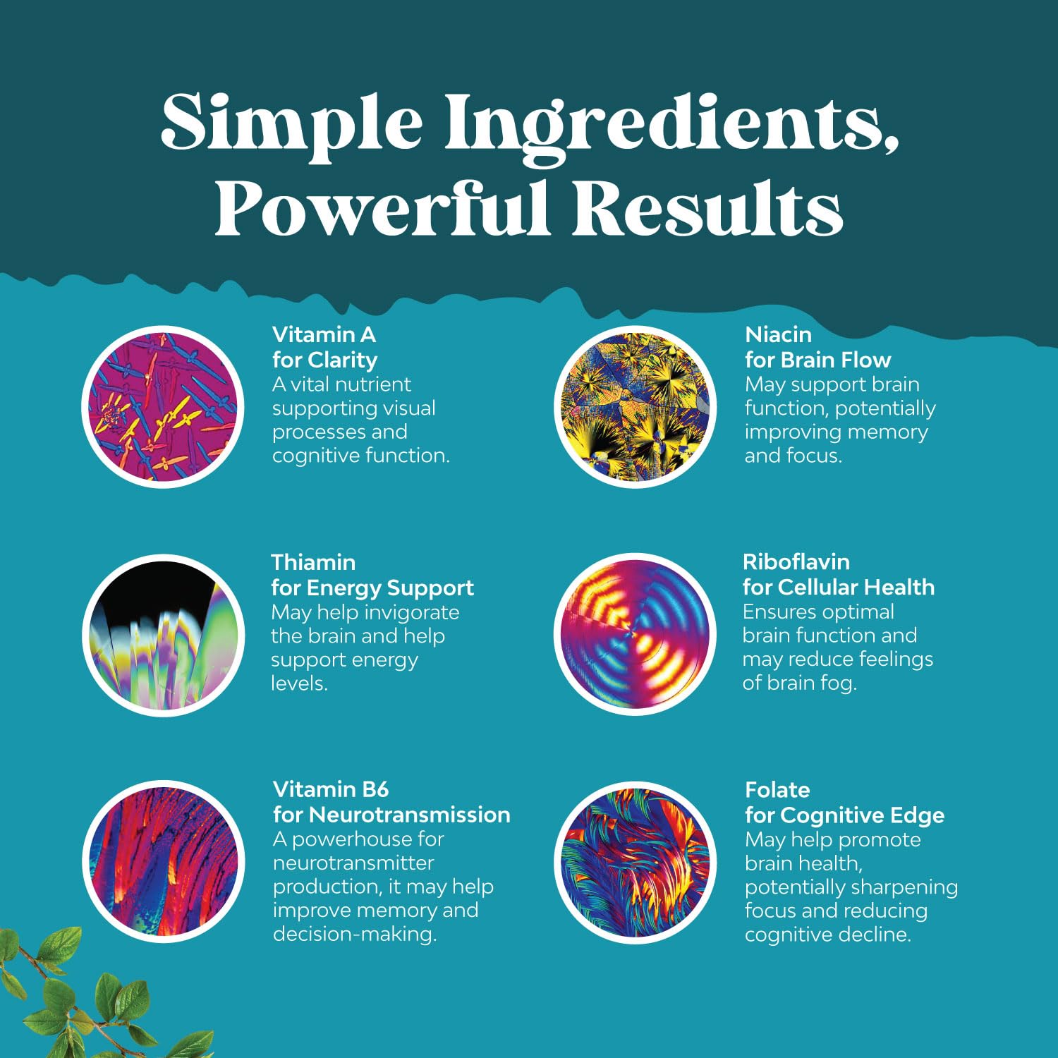 Nootropic Brain Supplement for Memory and Focus Enhancement - Vitamins for Mental Health & Clarity with VIT A, B6, Riboflavin, Niacin, Thiamin & Folate - Cognitive Complex for Mind Vitality - 60 Ct Natures Craft buy supplements canada
