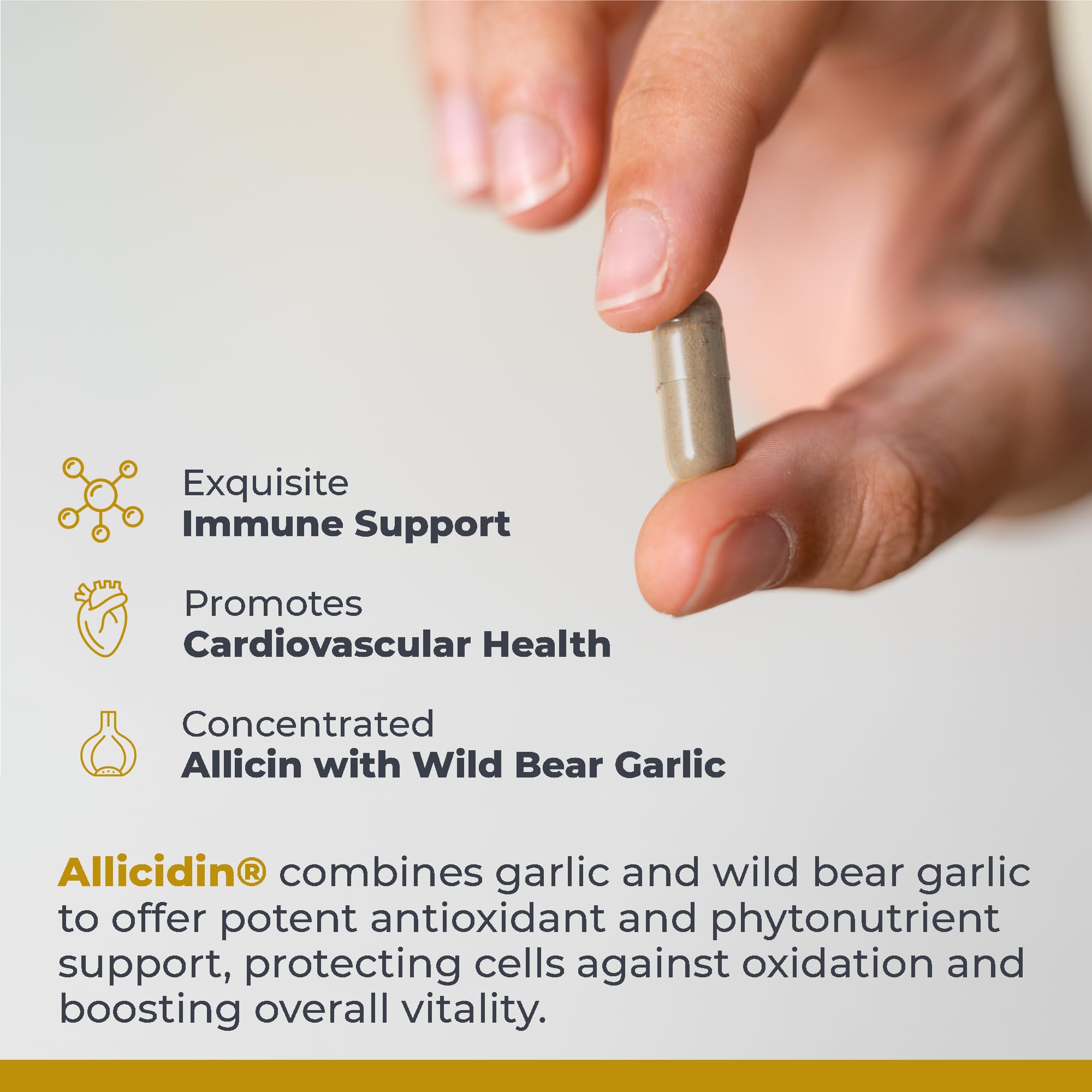 Premier Research Labs Allicidin - Garlic Allicin Supplement, Garlic Supplements, Garlic Pills, Allicin Extract, Garlic Extract, Odorless Garlic Capsules, Immune Support - 60 Vegetarian Capsules Premier Research Labs buy supplements canada