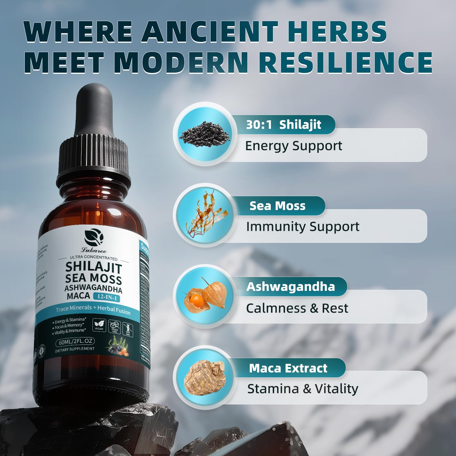 Shilajit Liquid Drops, 12-in-1 Complex - Sea Moss, Ashwagandha, Maca, Fulvic Acid, Trace Minerals, Liquid Vitamins Supplement for Men and Women, Energy, Antioxidant, Immune Support, 60ML/2 FL Oz Lukaree buy supplements canada
