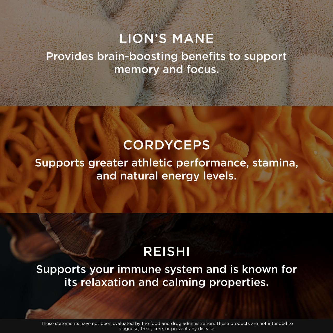 The Genius Brand Genius Mushroom - Plant-Based Supplement for Immune, Focus & Energy Support - Lion's Mane, Cordyceps & Reishi - Organic & Non-GMO - Butter Toffee - 60 Soft Chews The Genius Brand buy supplements canada