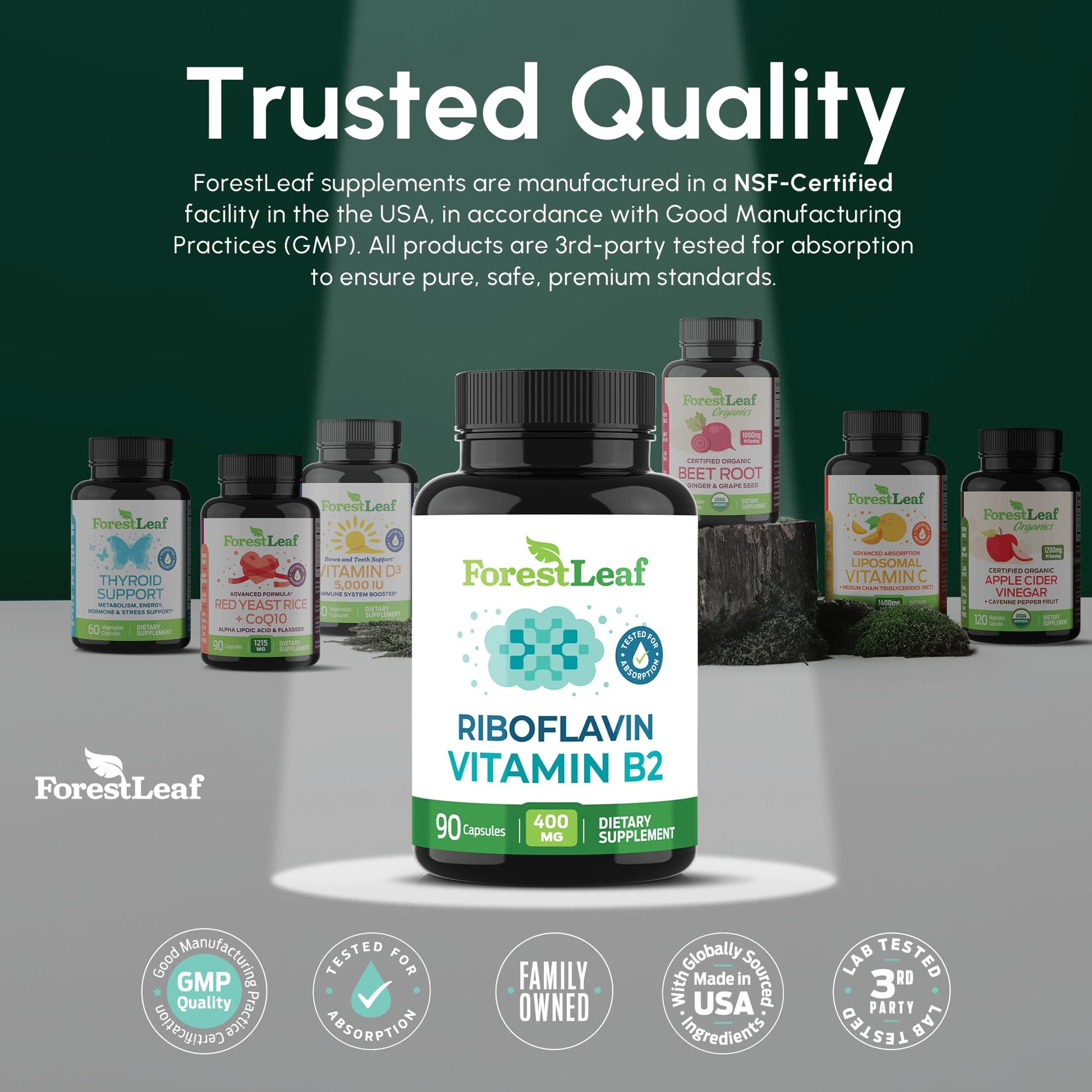 ForestLeaf Vitamin B2 Riboflavin 400mg - Energy, Skin & Cellular Health Supplement - Nervous System Support - Vitamin B 2 VIT B - Non-GMO & Gluten Free ForestLeaf buy supplements canada