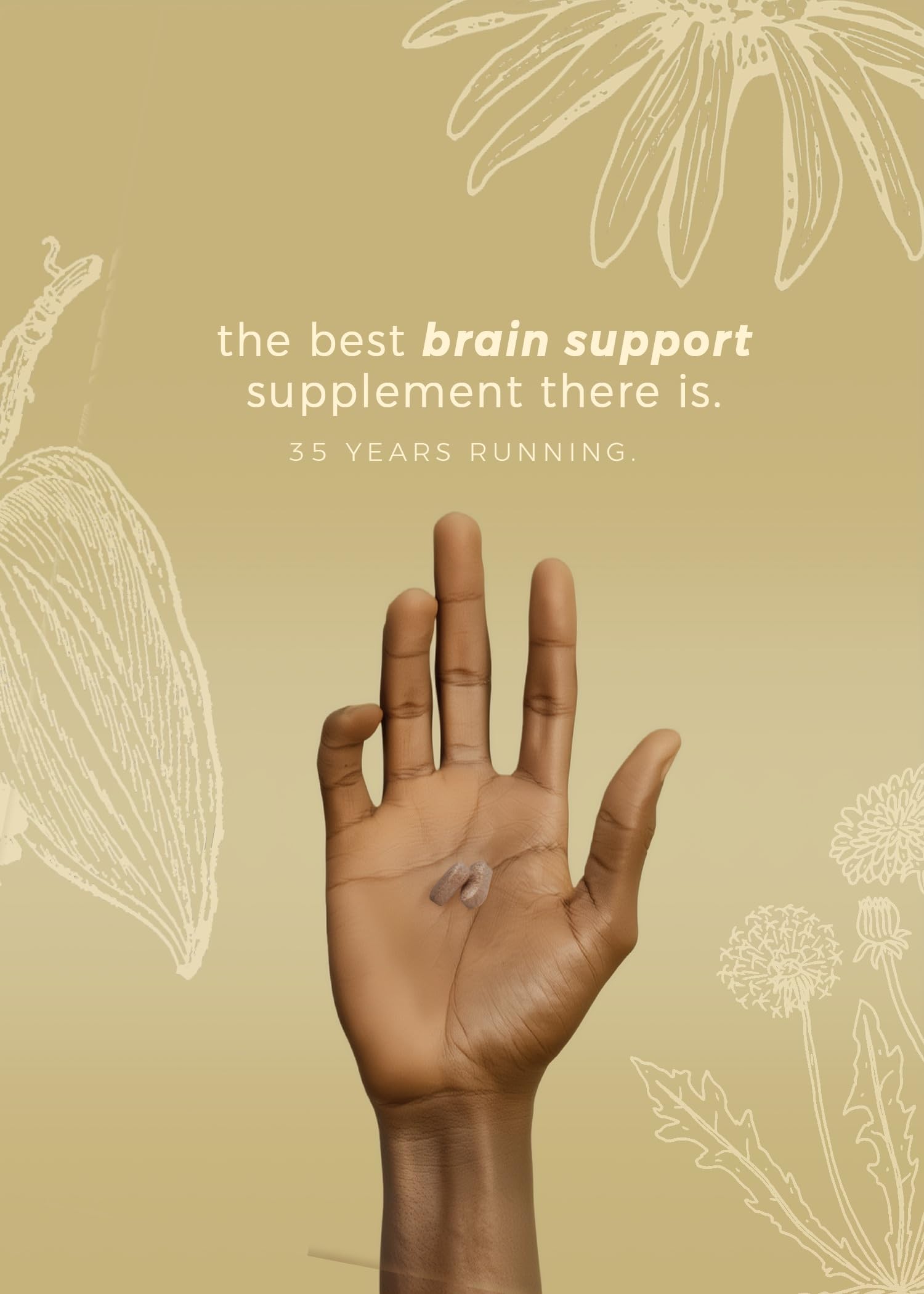 DiamondMIND Brain Support Supplement - Natural Formula for Mental Energy & Cognitive Function - Focus, Clarity, and Memory Supplement - Less Mental Stress - Vegan, Gluten-Free, Dairy-Free - (60 Count) Herpanacine buy supplements canada