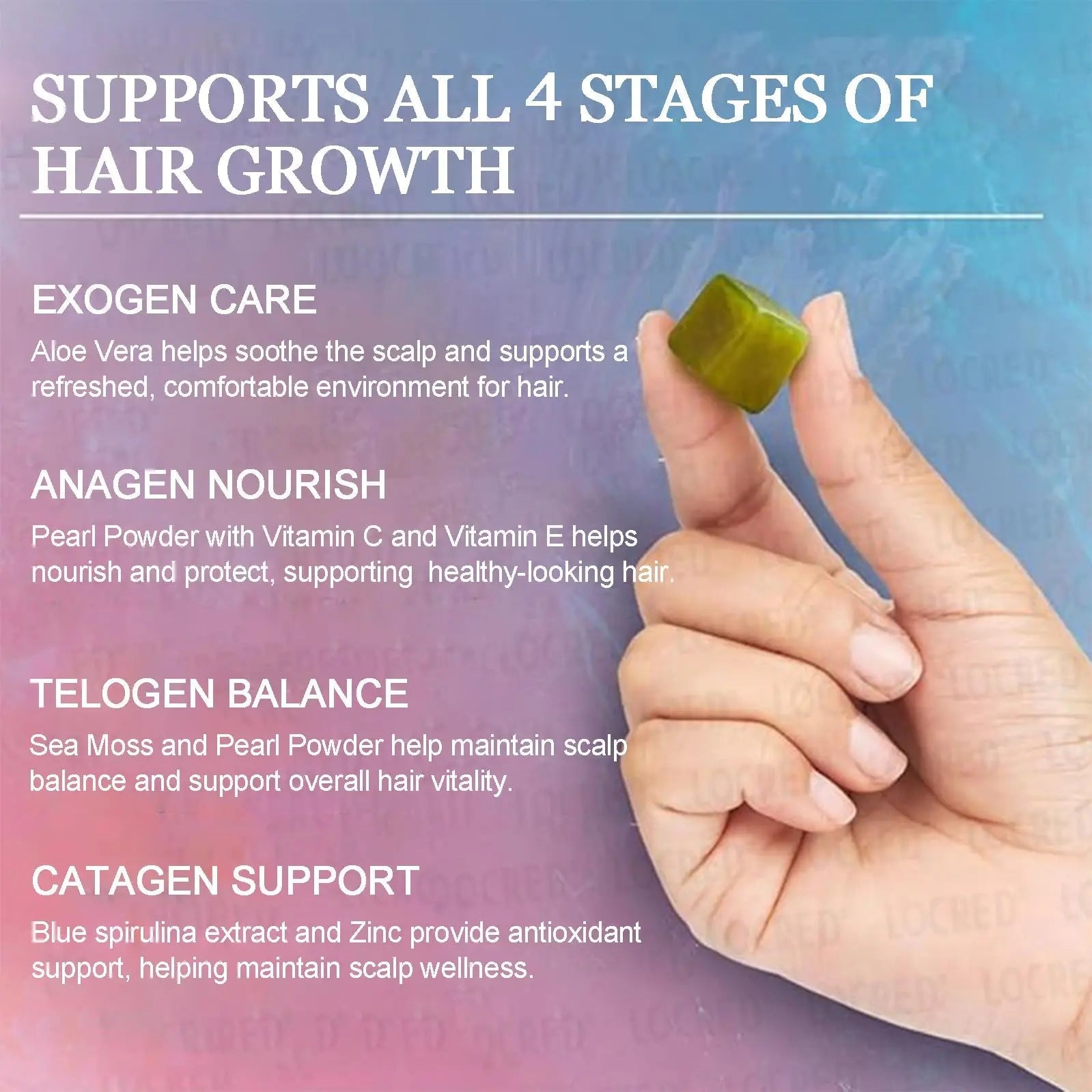 Giamau Revive Hair Gummies, Sea Moss Gummies, Natural Nutrient Blend for Hair Health Support – Gluten-Free, No Harsh Chemicals, 60 Gummies (1) Giamau buy supplements canada