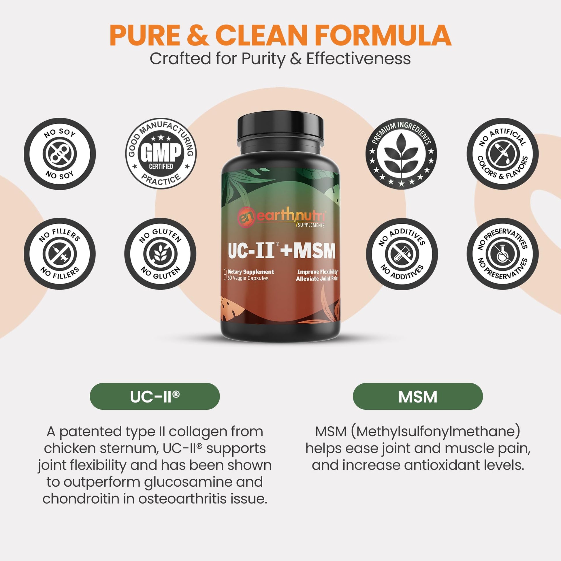 EarthNutri UC-II Collagen & MSM Supplement for Bone Health and Joint Flexibility Joint Supplement - 40mg UC-II Providing 10mg Total Collagen & 1000mg MSM - 60 Capsules (2 Caps Daily) EarthNutri buy supplements canada