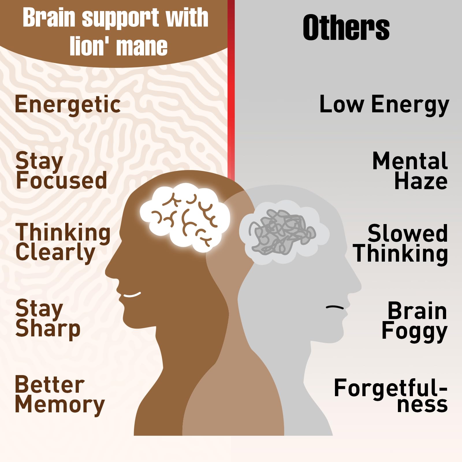 Ashwagandha & Lions Mane Supplements Capsules, Brain Supplements for Memory and Focus, Ashwagandha with Rhodiola Rosea for Cognitive, Immune Support, Cortisol Supplements for Women, 90 Capsules Zylvrax buy supplements canada
