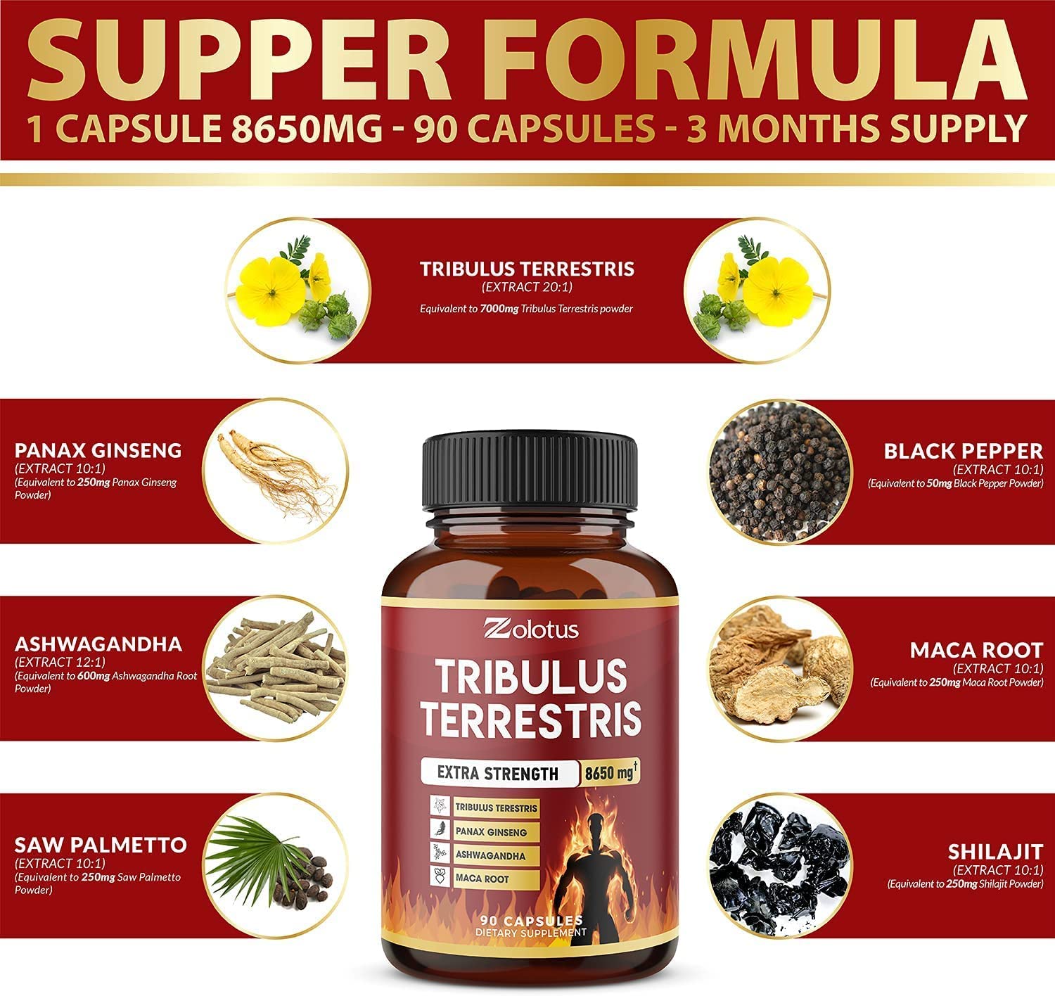 Zolotus Tribulus Terrestris, 8650mg Per Capsule, High Potency with Ashwagndha Zolotus buy supplements canada