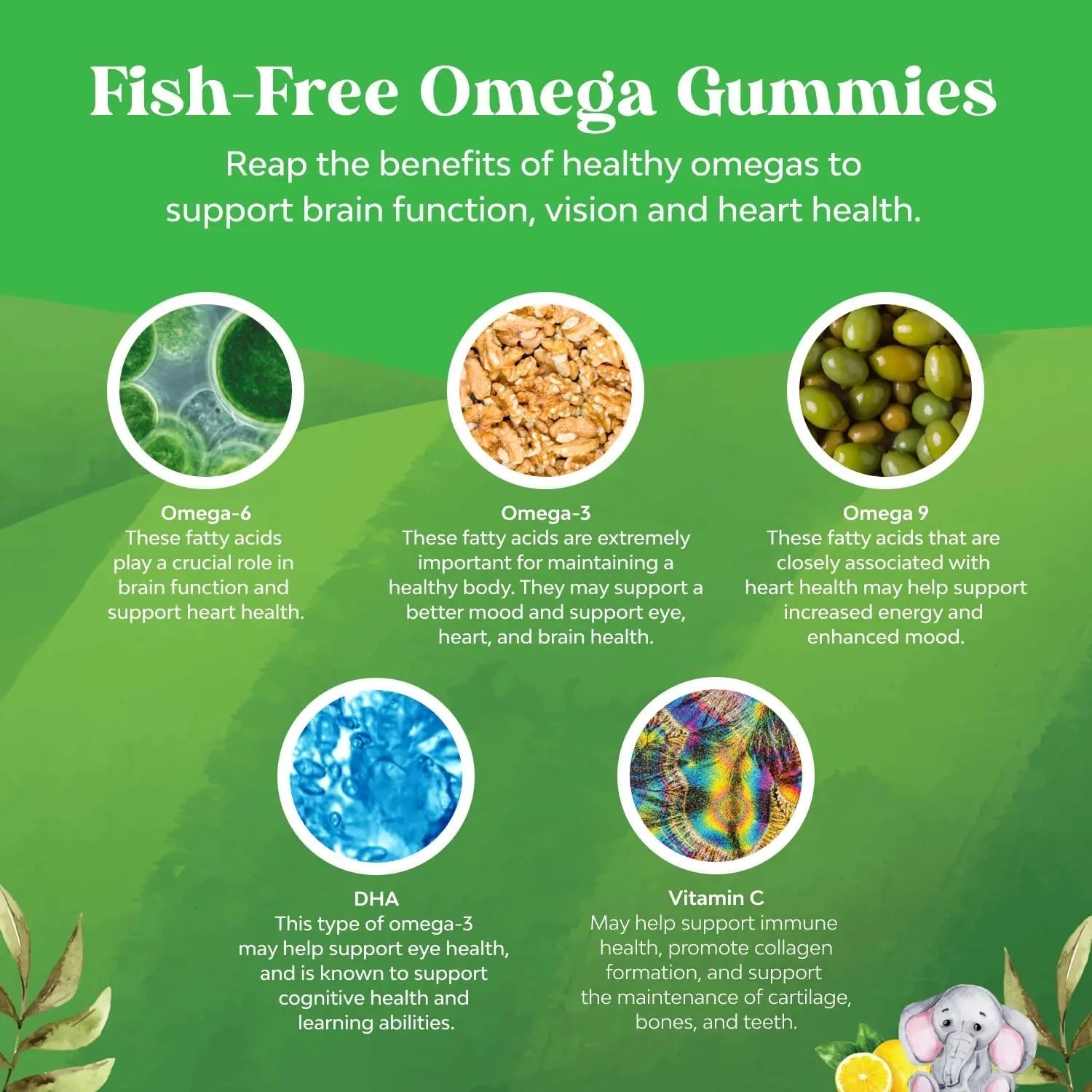 Bundle of Plant Based Kids Multivitamin Gummies with Vitamins A C D3 E B Zinc and DHA Omega 3 Gummies with Vegetarian 6 9 for Vision Brain Immunity Support Natures Craft buy supplements canada