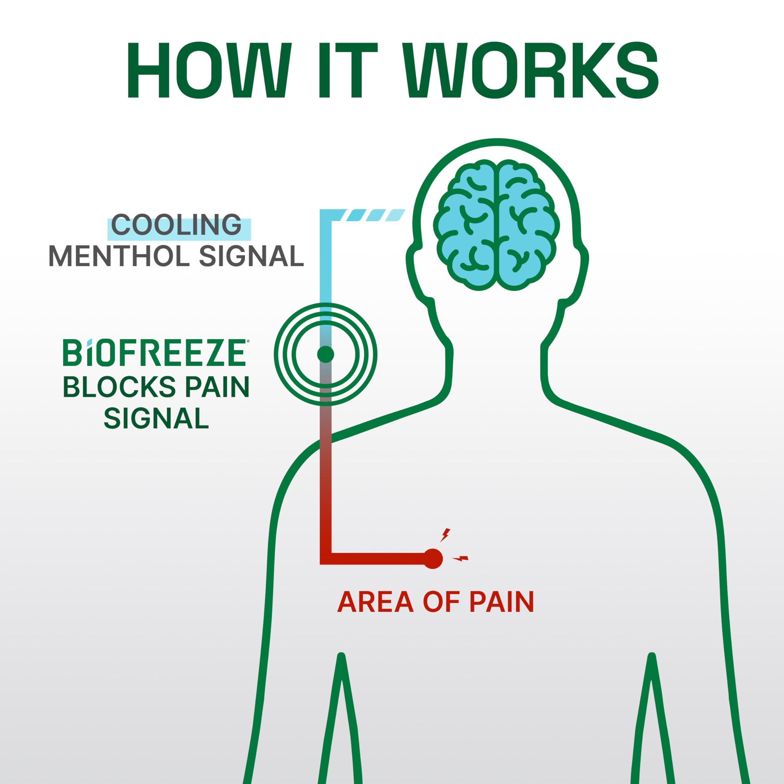 Biofreeze Professional Colorless Pain Relief Roll On, Knee & Simple Backache Relief, Arthritis Pain Reliever, Neck Pain Relief, Cooling Joint Pain Relief, Roll-On Menthol Gel 3 Fl Oz Biofreeze buy supplements canada