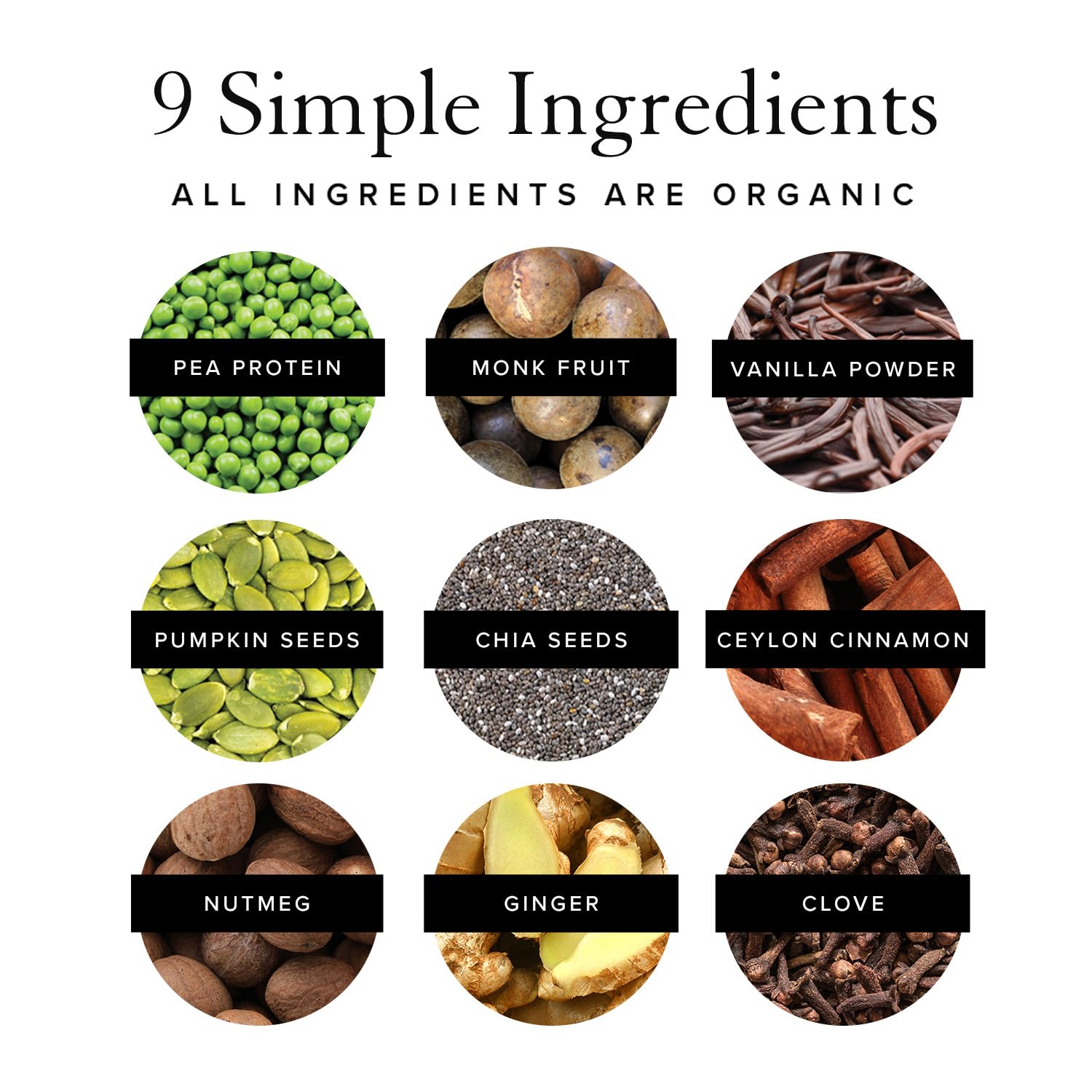 Truvani Organic Vegan Protein Powder Pumpkin Spice - 20g of Plant Based Protein Truvani buy supplements canada