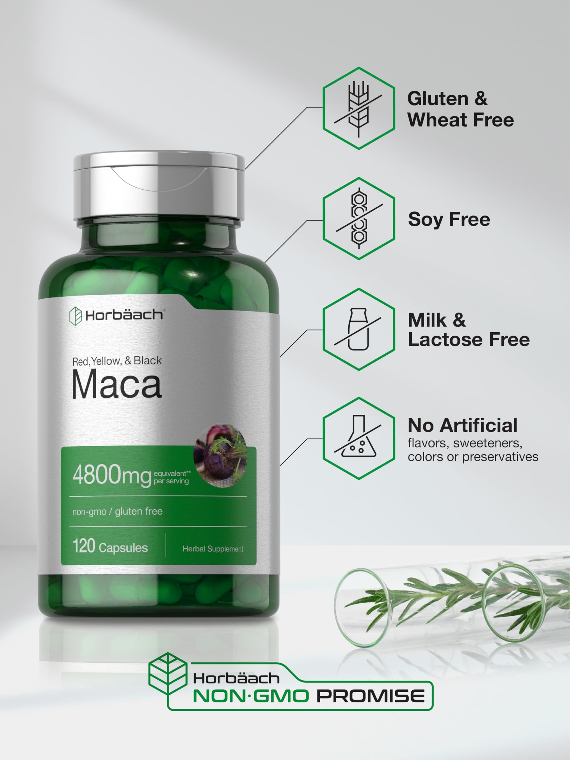 Horbäach Maca Root Capsules for Men and Women | 120 Pills | High Potency Extract | Non-GMO and Gluten Free Formula Horbäach buy supplements canada