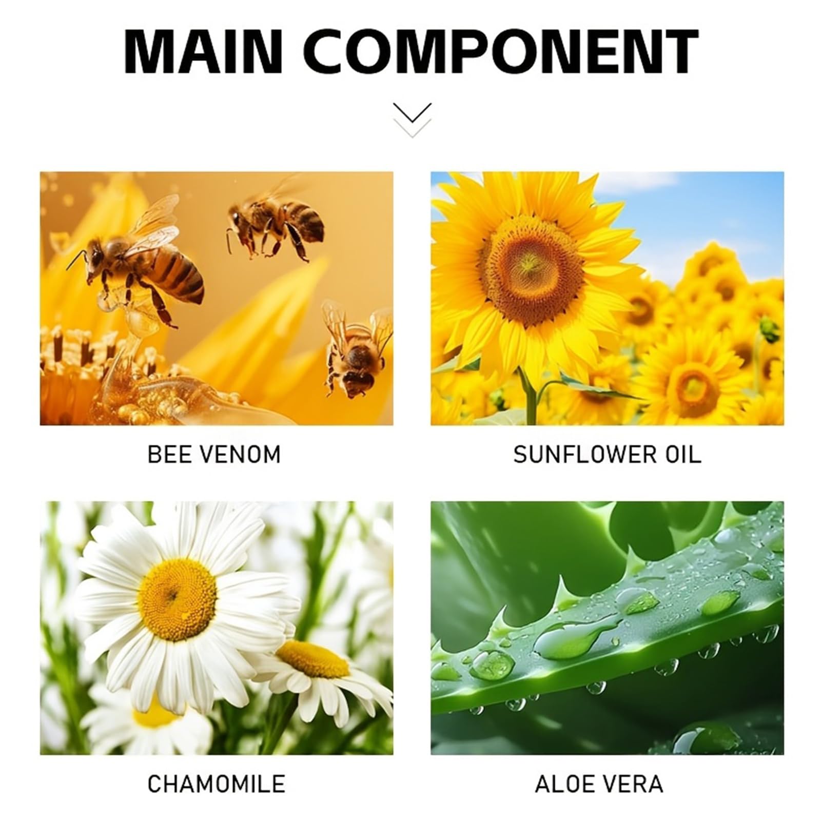 Bee Venom Joint Cream – Advanced Joint Support Cream with Honey & Chamomile, Soothing Formula for Aches & Stiffness in Knees, Hands, Back, Natural Relief Cream for Daily Joint Care (Bee venom) Generic buy supplements canada