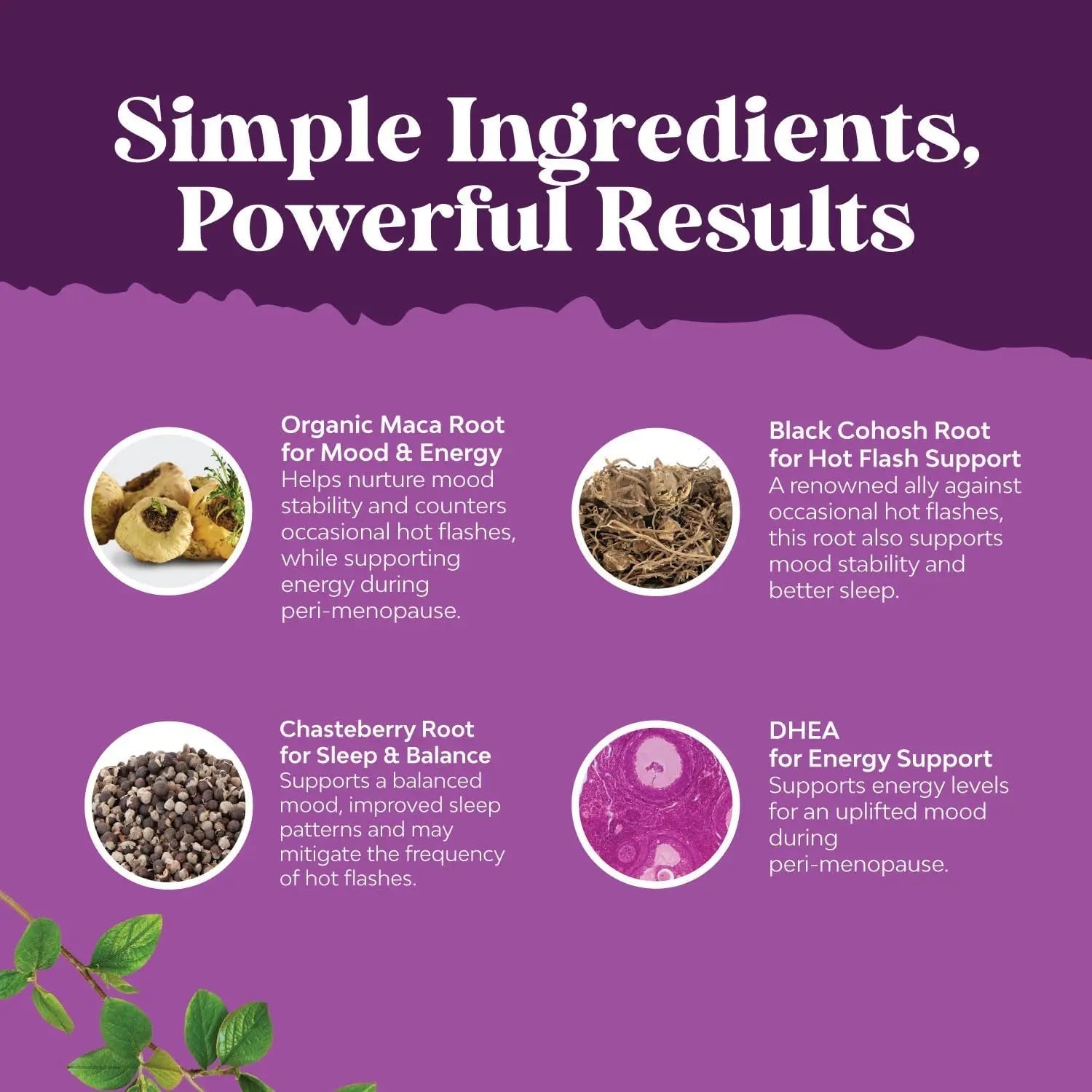 Bundle of Perimenopause Supplement with Maca Root Vitex Berry Black Cohosh for Hot Flashes Night Sweats Hormone Balance Natures Craft buy supplements canada