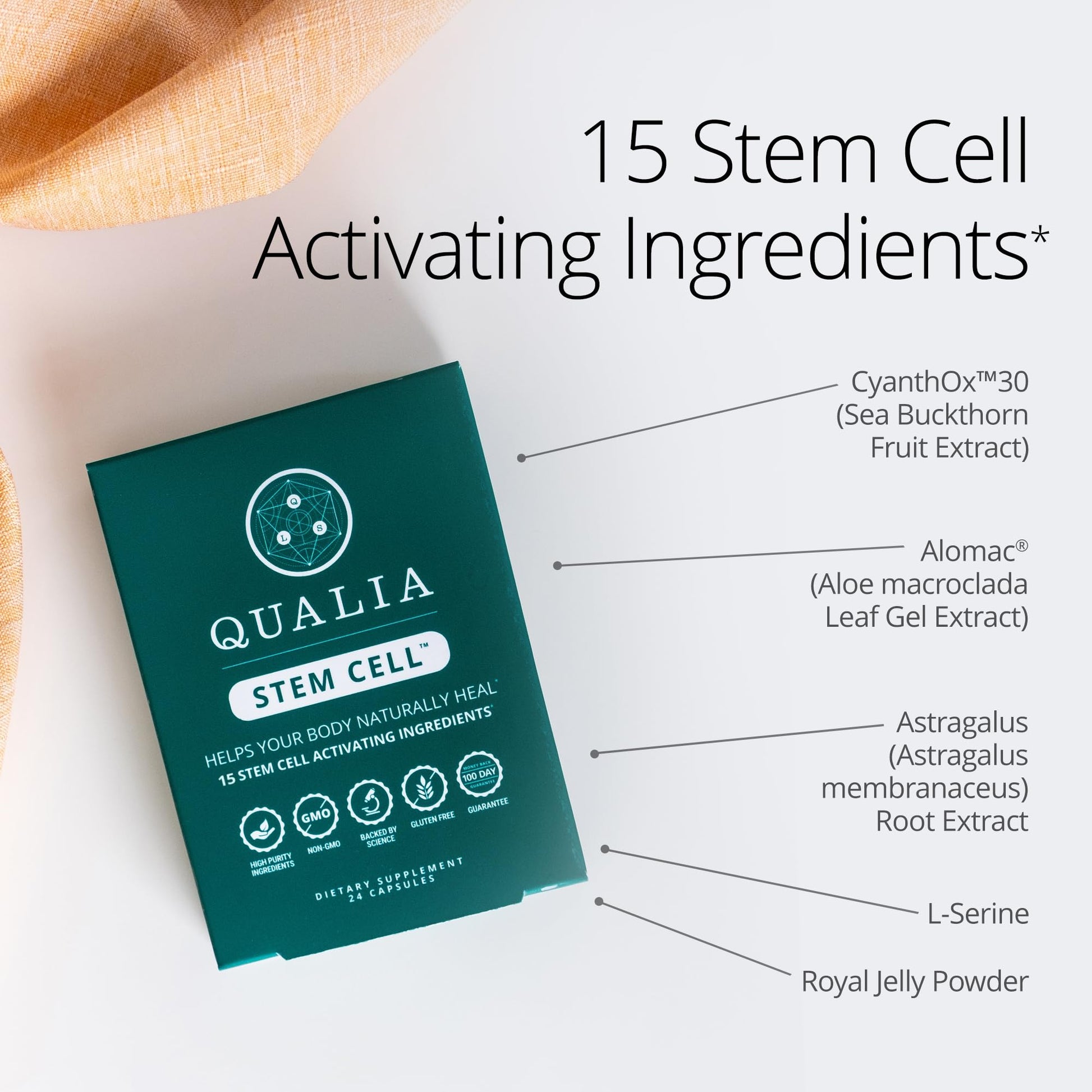 Qualia Stem Cell — Stem Cell Supplement Support with Royal Jelly, Astragalus & Sea Buckthorn | 16 Ingredients | 4 Days a Month | Helps Body Naturally heal* QUALIA LIFE SCIENCES buy supplements canada