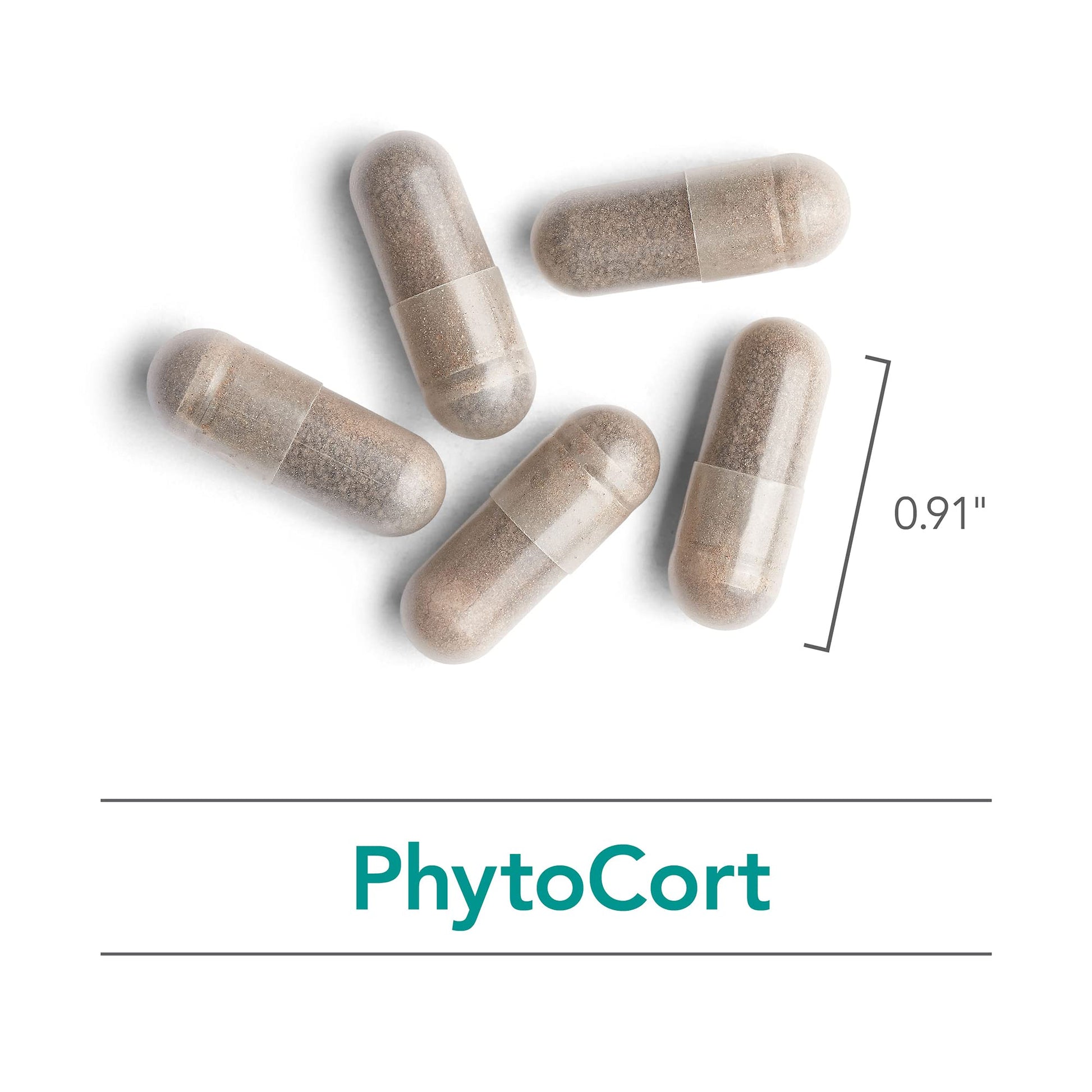 Nutricology PhytoCort Supplement - Respiratory Support, Lung Health, Lung Detox, Lung Cleanse, Healthy Breathing, Herbal Support, Reishi, Licorice, Noni, Vegetarian Capsules - 120 Count Nutricology buy supplements canada
