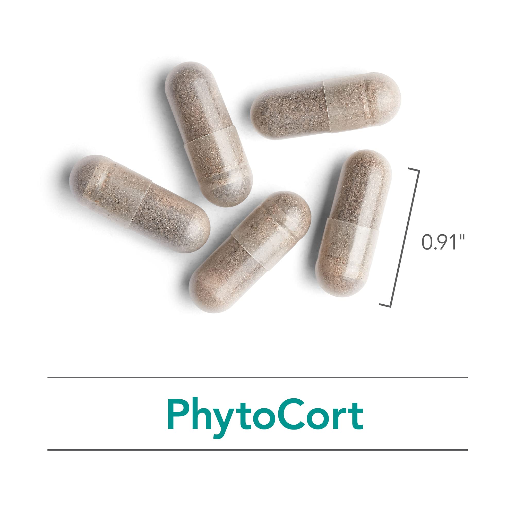 Nutricology PhytoCort Supplement - Respiratory Support, Lung Health, Lung Detox, Lung Cleanse, Healthy Breathing, Herbal Support, Reishi, Licorice, Noni, Vegetarian Capsules - 120 Count Nutricology buy supplements canada