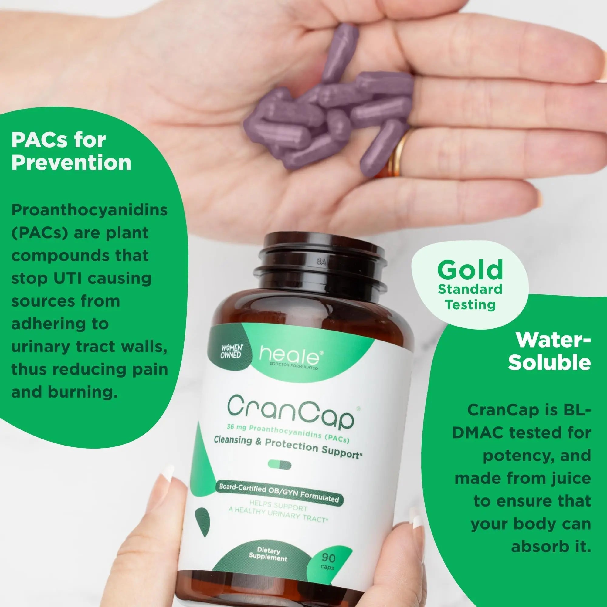CranCap - Cranberry Pills - Urinary Tract Health Cranberry Supplement - 36mg of Potent PACs - Non GMO, Vegan, Gluten Free - by Heale - 30 Capsules CranCap buy supplements canada