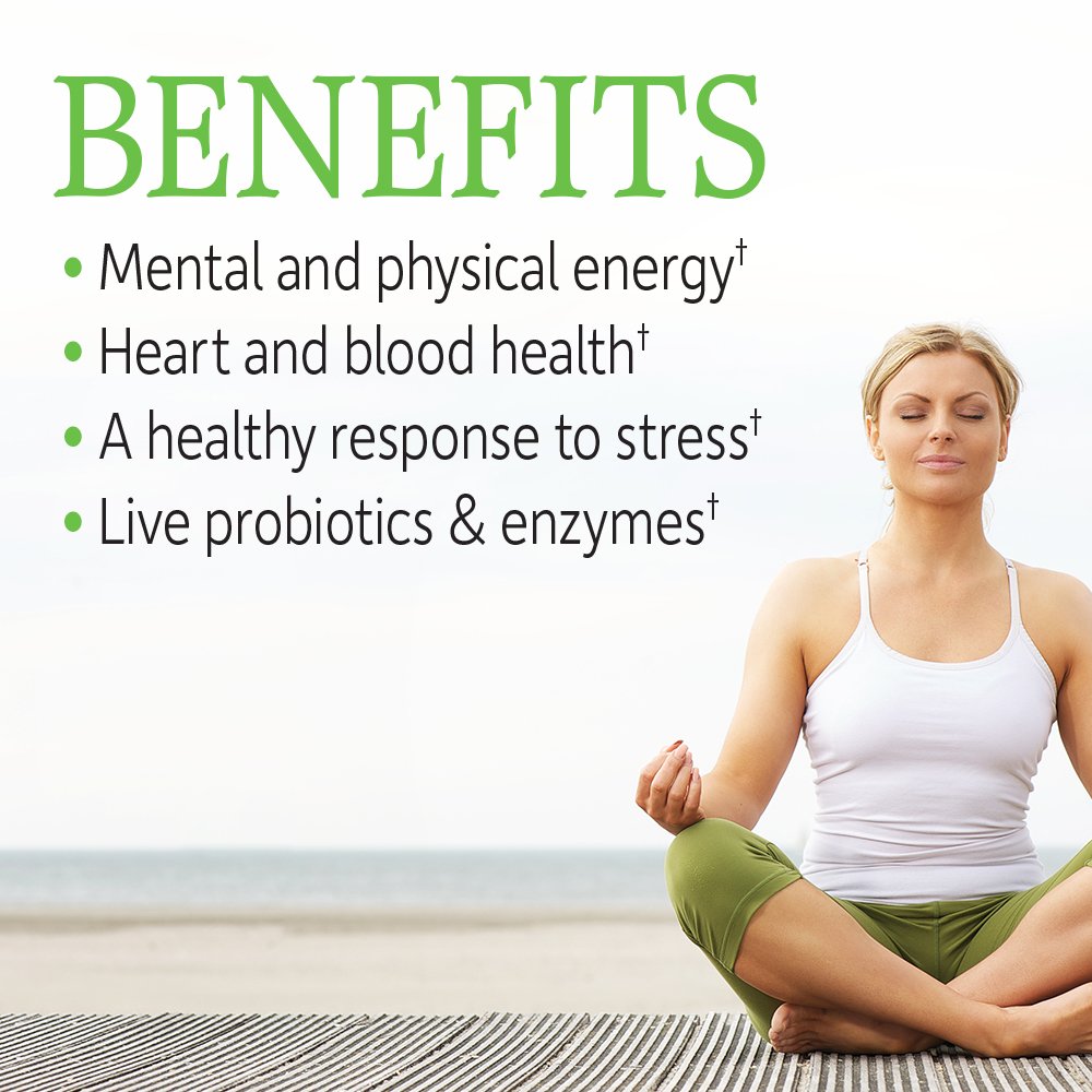Garden of Life Vitamin B Complex, 120 Vegan Capsules, High Potency Vitamins for Energy & Metabolism with B6, Folate & B12 Garden of Life buy supplements canada