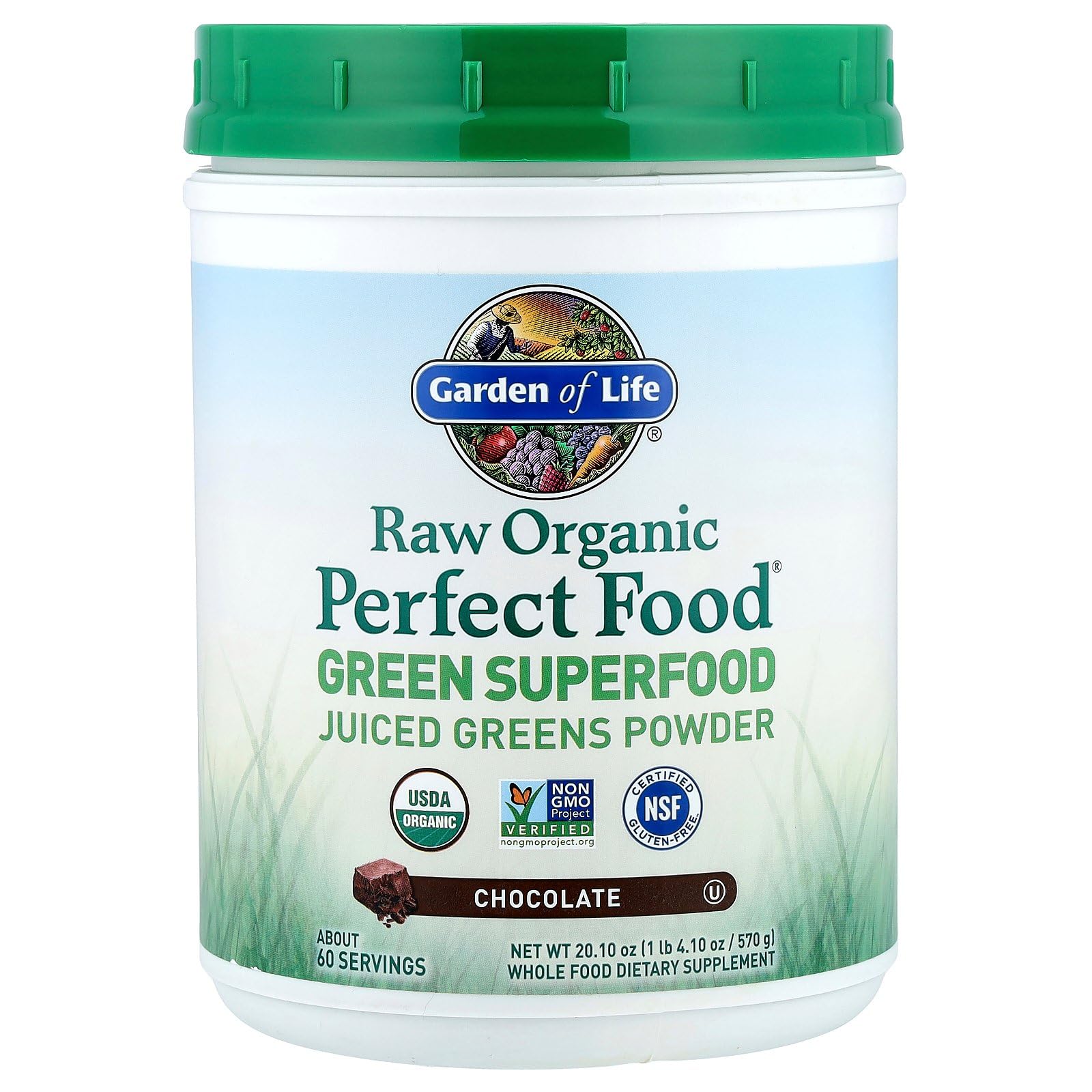 Garden of Life Raw Organic Perfect Food Green Superfood Juiced Greens Powder - Chocolate, 60 Servings, Non-GMO, Gluten Free, Vegan Whole Food Dietary Supplement Plus Probiotics, Enzymes Garden of Life buy supplements canada