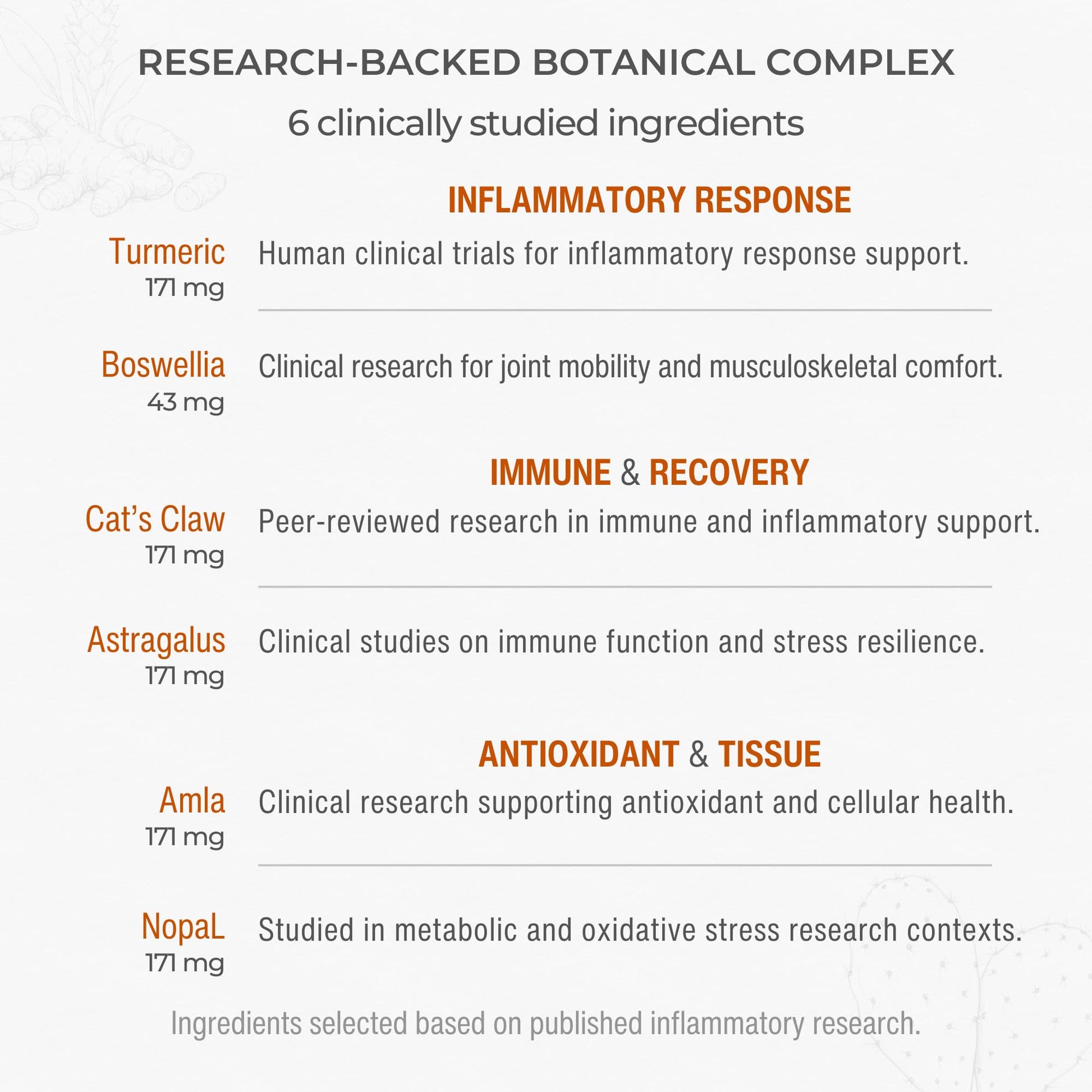 Muscle & Joint Support Supplement – Botanical Formula for Healthy Inflammatory Response | 6 Research-Backed Botanicals | Organic Turmeric | 60 Capsules | Sana Herbal Sana Herbal Sciences buy supplements canada