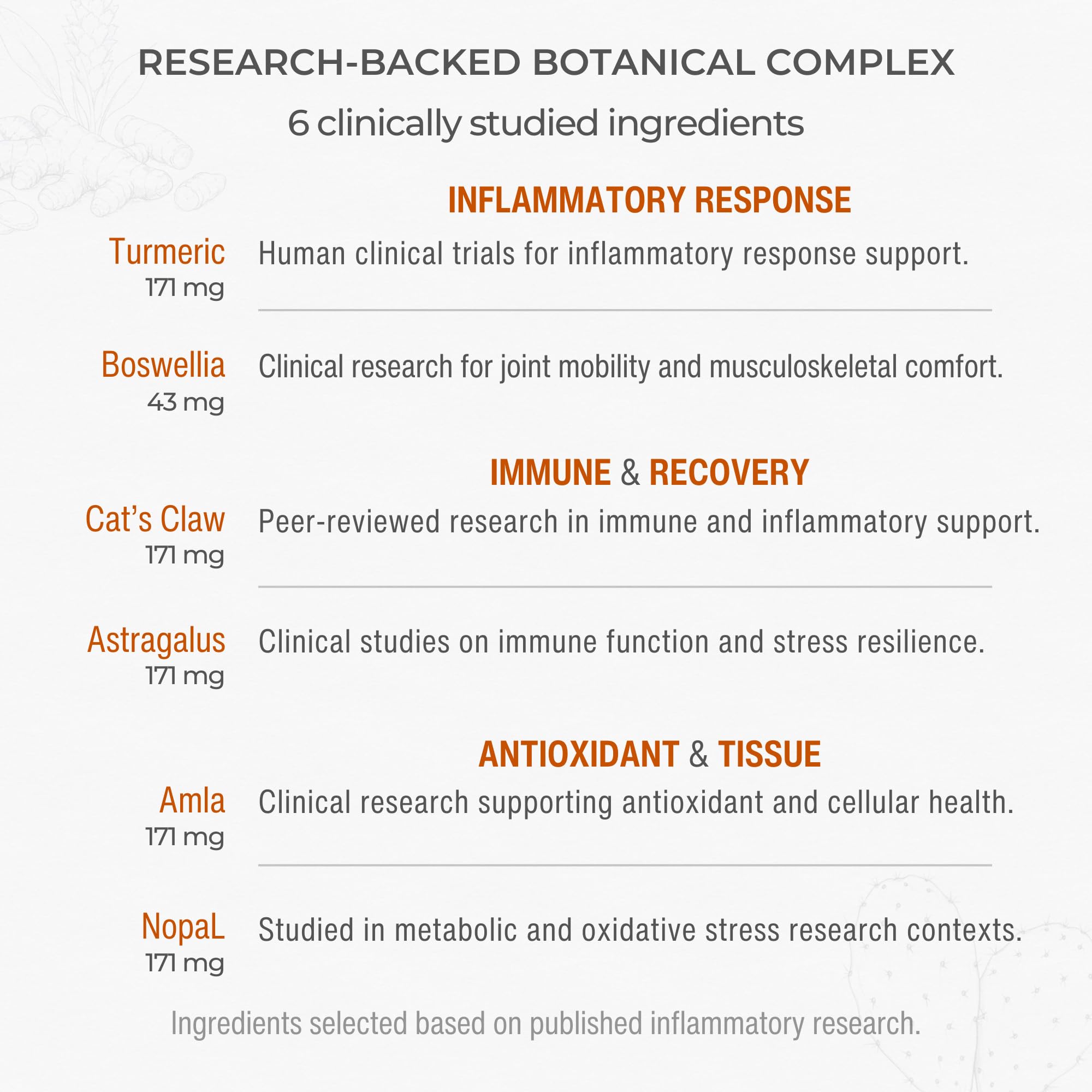 Muscle & Joint Support Supplement – Botanical Formula for Healthy Inflammatory Response | 6 Research-Backed Botanicals | Organic Turmeric | 60 Capsules | Sana Herbal Sana Herbal Sciences buy supplements canada