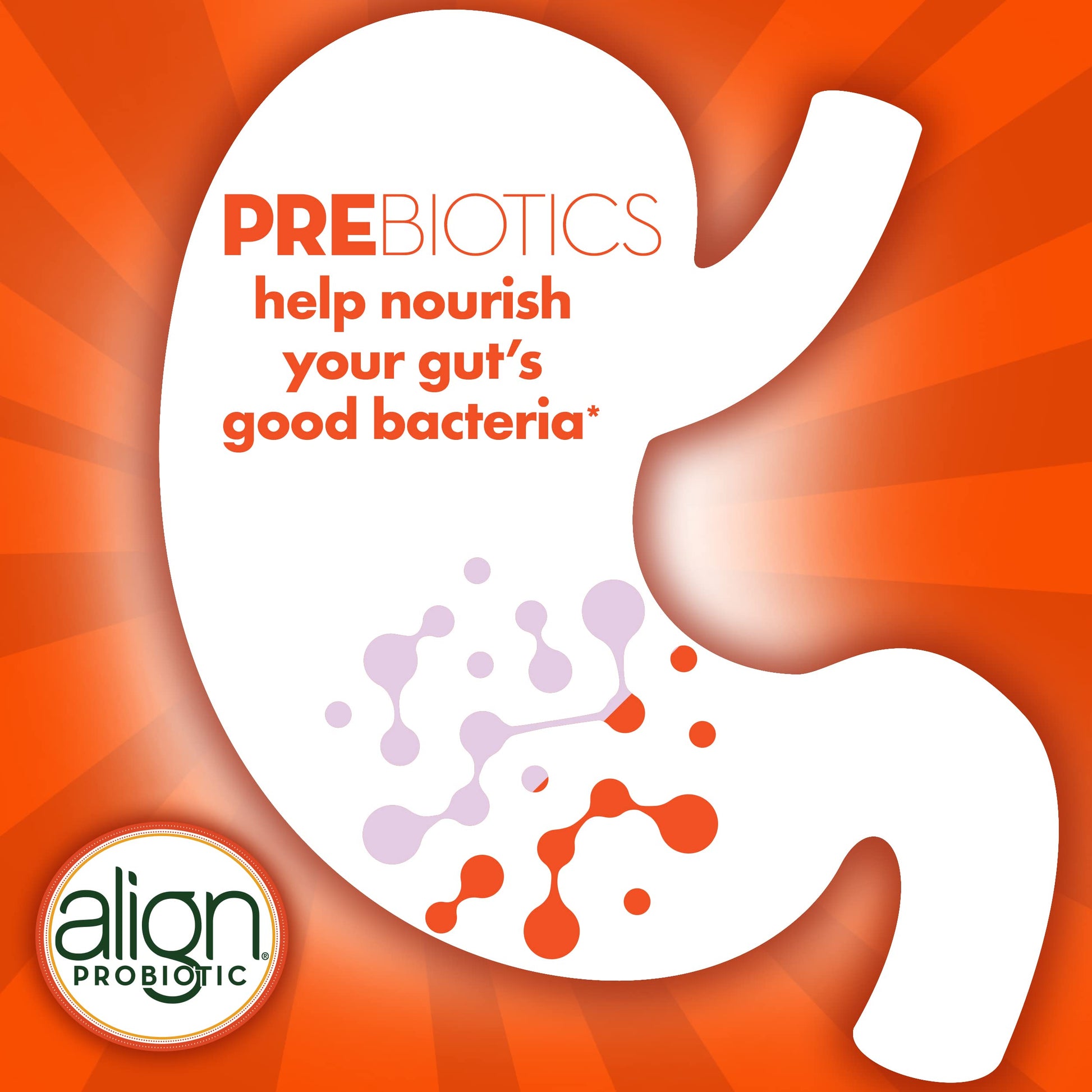 Align Digestive Health Prebiotic + Probiotic Supplement Gummies in Natural Fruit Flavors Align buy supplements canada