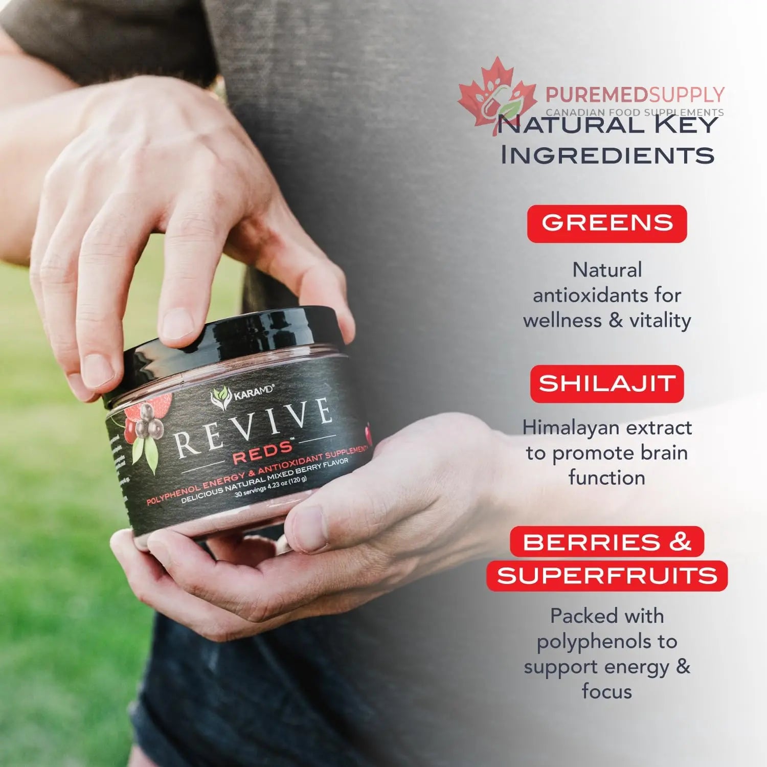 KaraMD Pure Nature Greens Whole Food Supplement & Revive Reds Polyphenol Energy Booster | Antioxidants, Shilajit & Enzymes | Vegan Friendly, Gluten Free, Non-GMO (30 Servings) KaraMD buy supplements canada