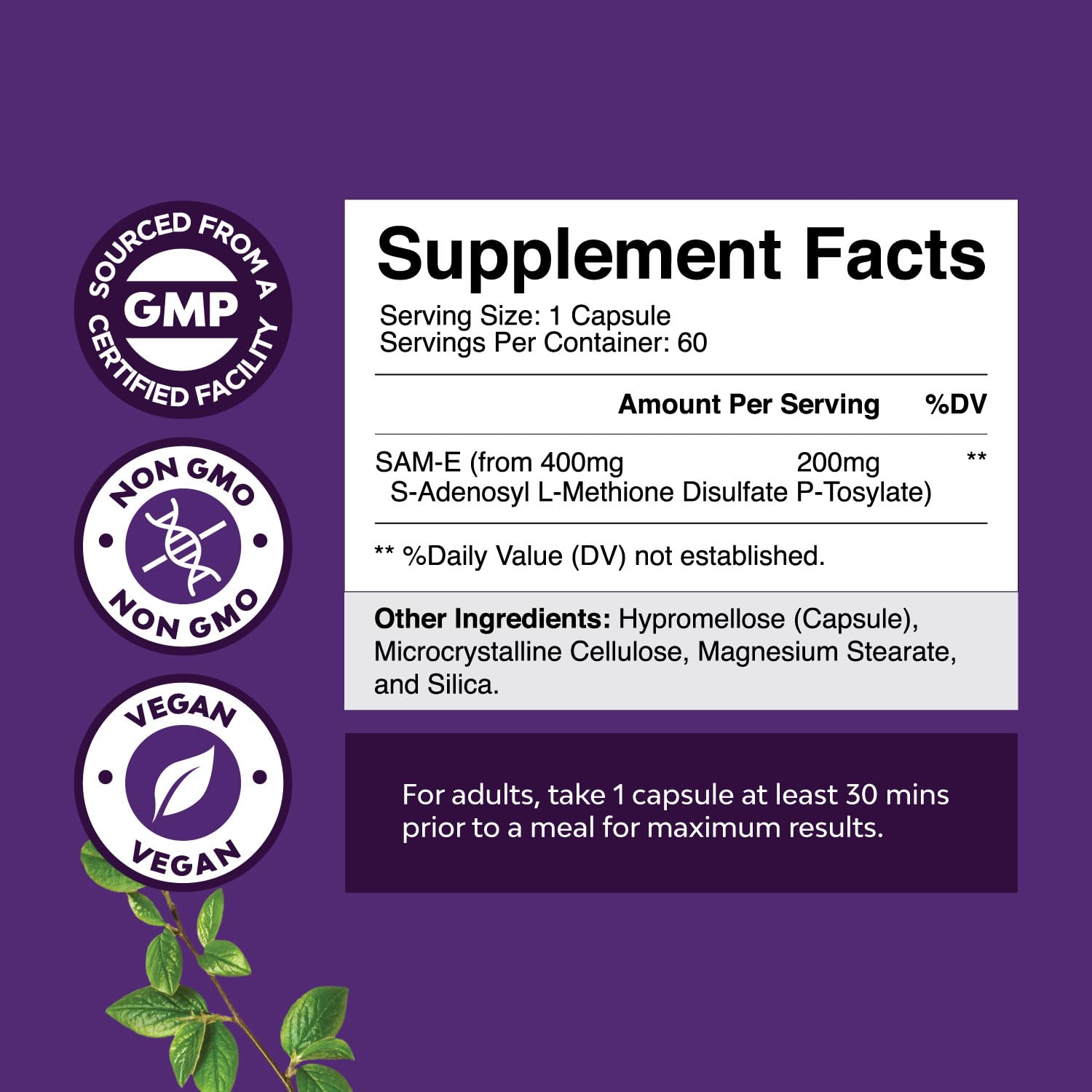 Sam-E 200mg Mood Support Supplement - S-Adenosyl Methionine Sam-E Supplement for Natural Relaxing Mood Boost Brain Support and Liver Detox Cleanse - Vegan Non-GMO and Gluten Free - 60 Count Natures Craft buy supplements canada