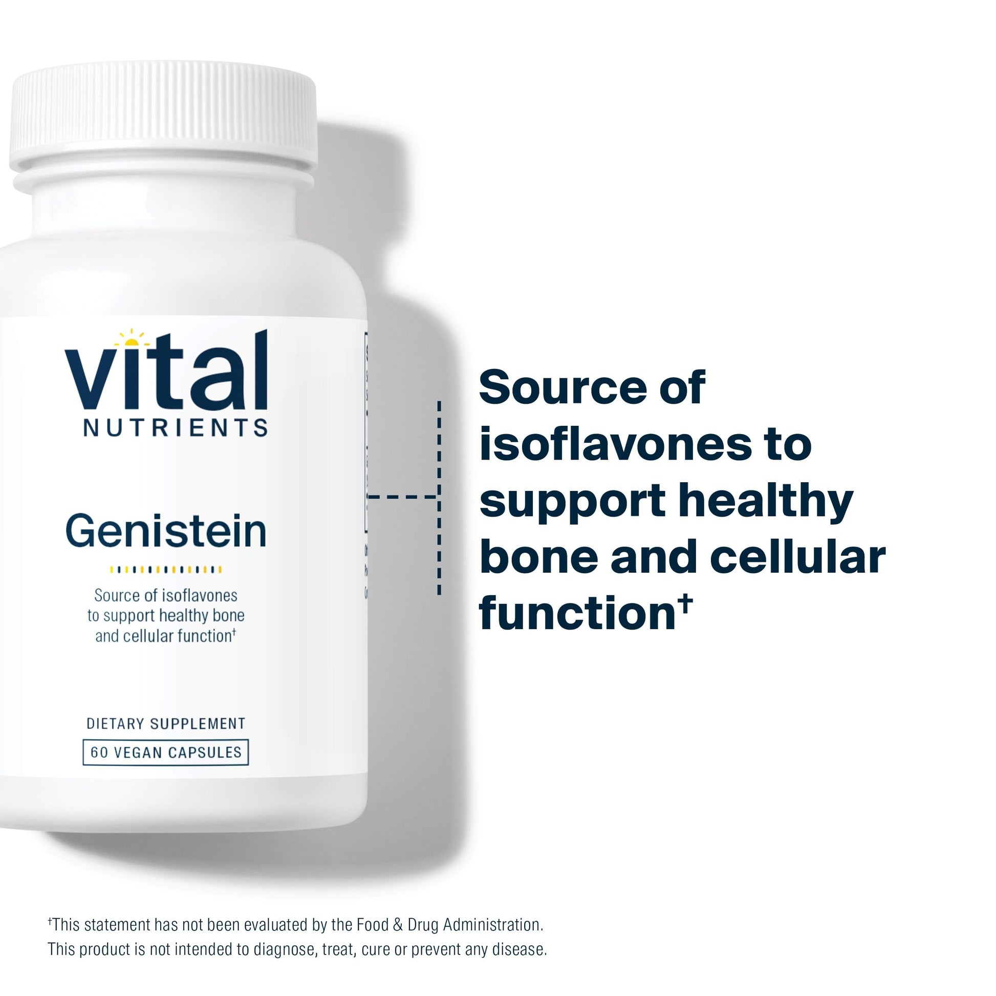 Vital Nutrients Genistein - Easily Absorbed Isoflavones for Bone Health Support* - Vegan Supplement - Gluten and Dairy Free - Non-GMO - 60 Capsules Vital Nutrients buy supplements canada