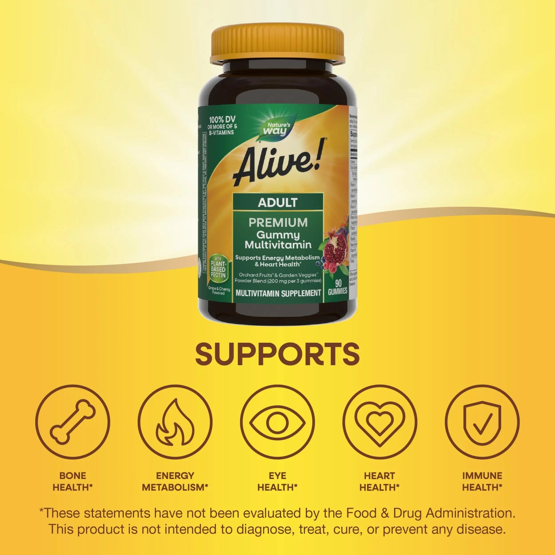 Nature's Way Alive! Adult Premium Multivitamin Gummy, Full B-Vitamin Complex, Supports Energy Metabolism & Heart Health*, 90 Gummies Nature's Way buy supplements canada