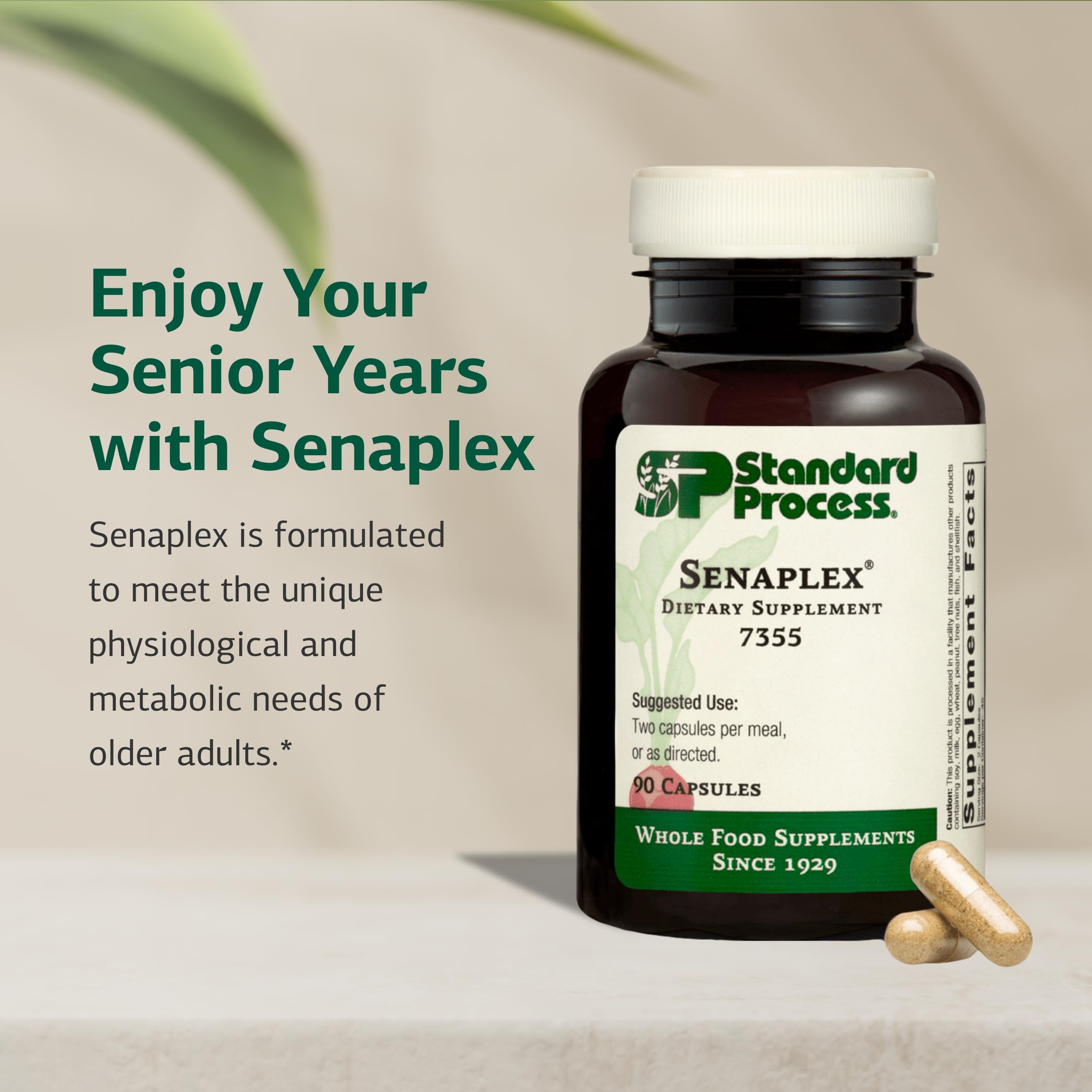 Standard Process Senaplex - Nervous System Support with Niacin, Vitamin B12 & B6 - Supports Brain Health & Cellular Health - Offers Antioxidant Activity - Non-Dairy - 90 Capsules (45 Servings) Standard Process Inc. buy supplements canada